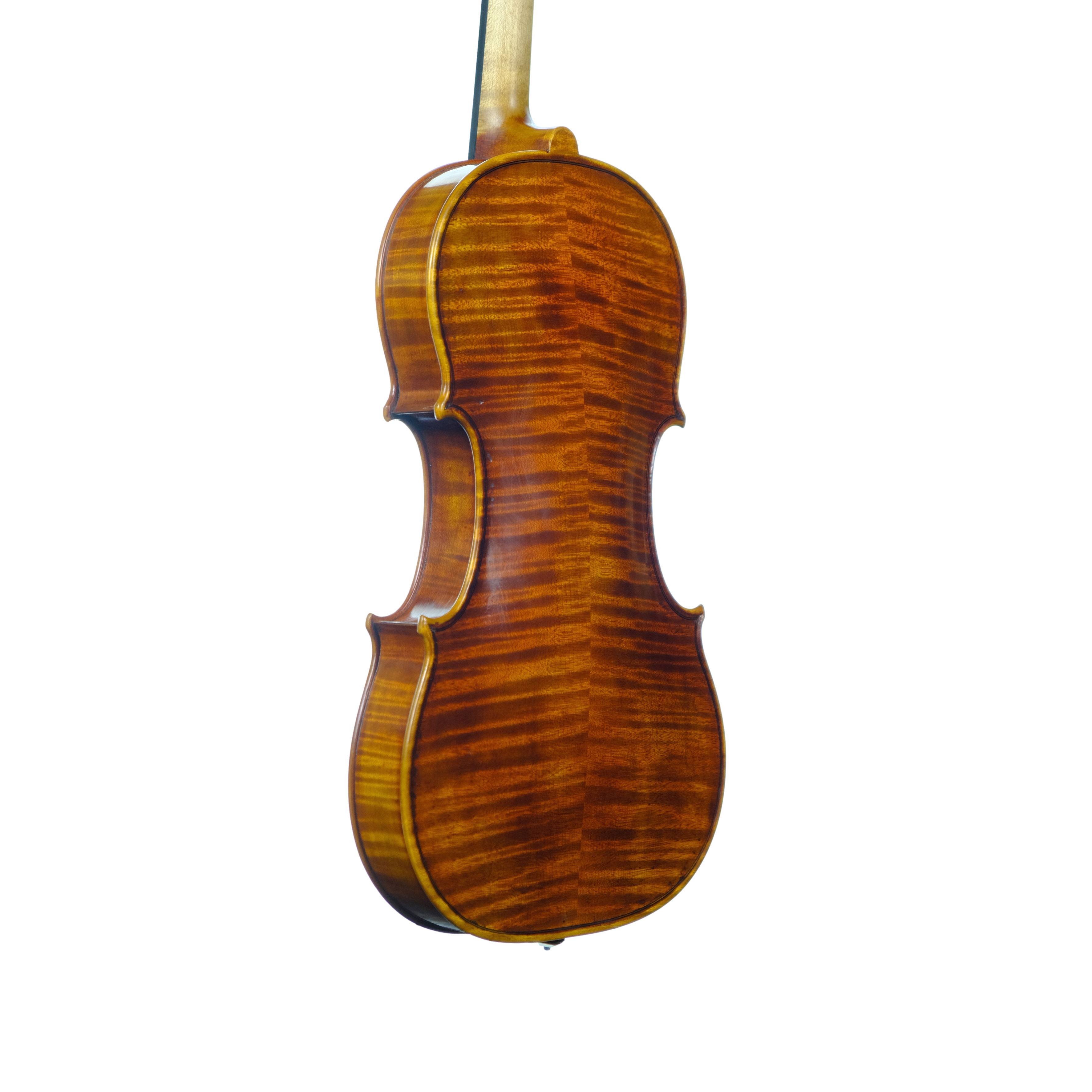 Violin - Linea Macchi, Guarneri "Lord Wilton" 2025