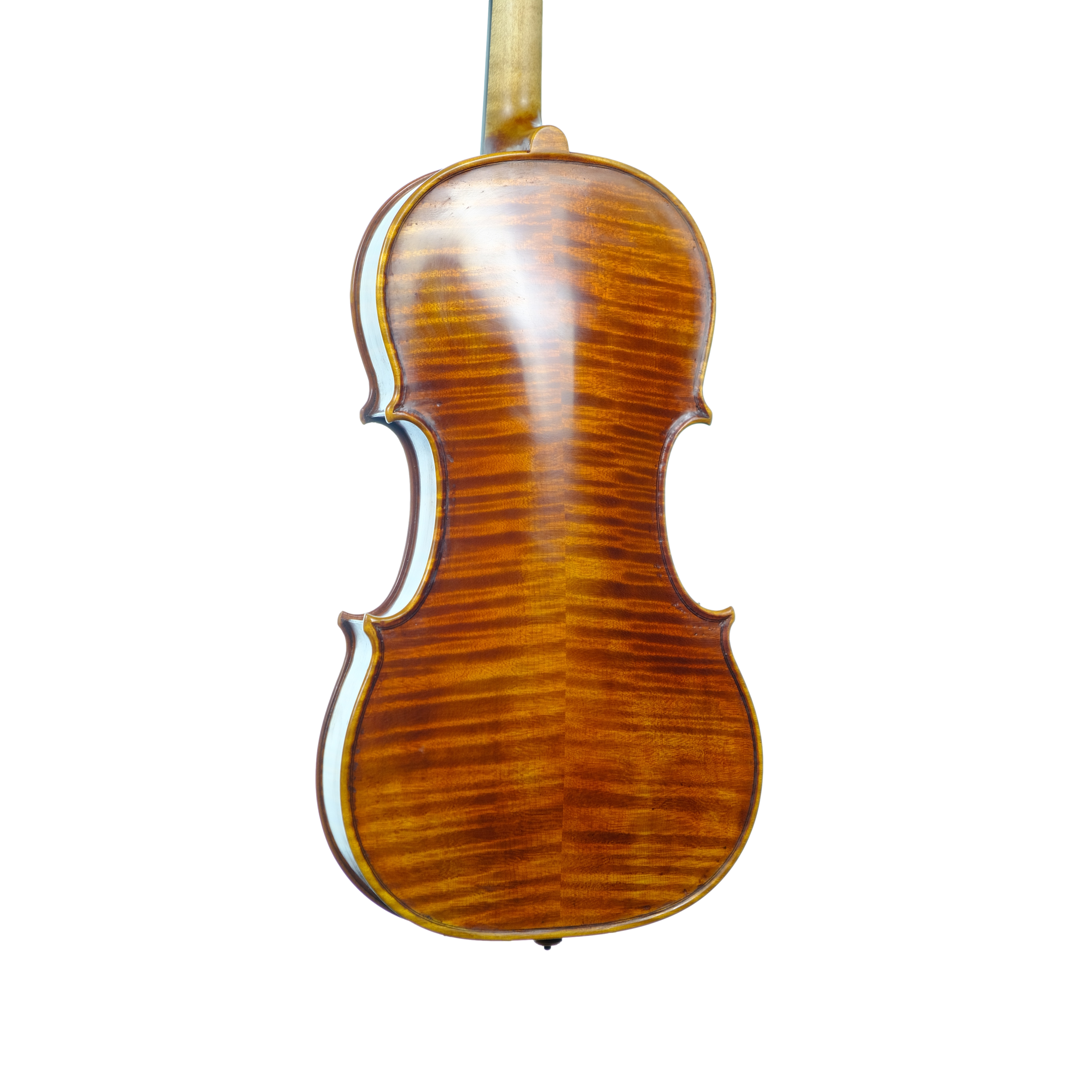 Violin - Linea Macchi, Guarneri "Lord Wilton" 2025