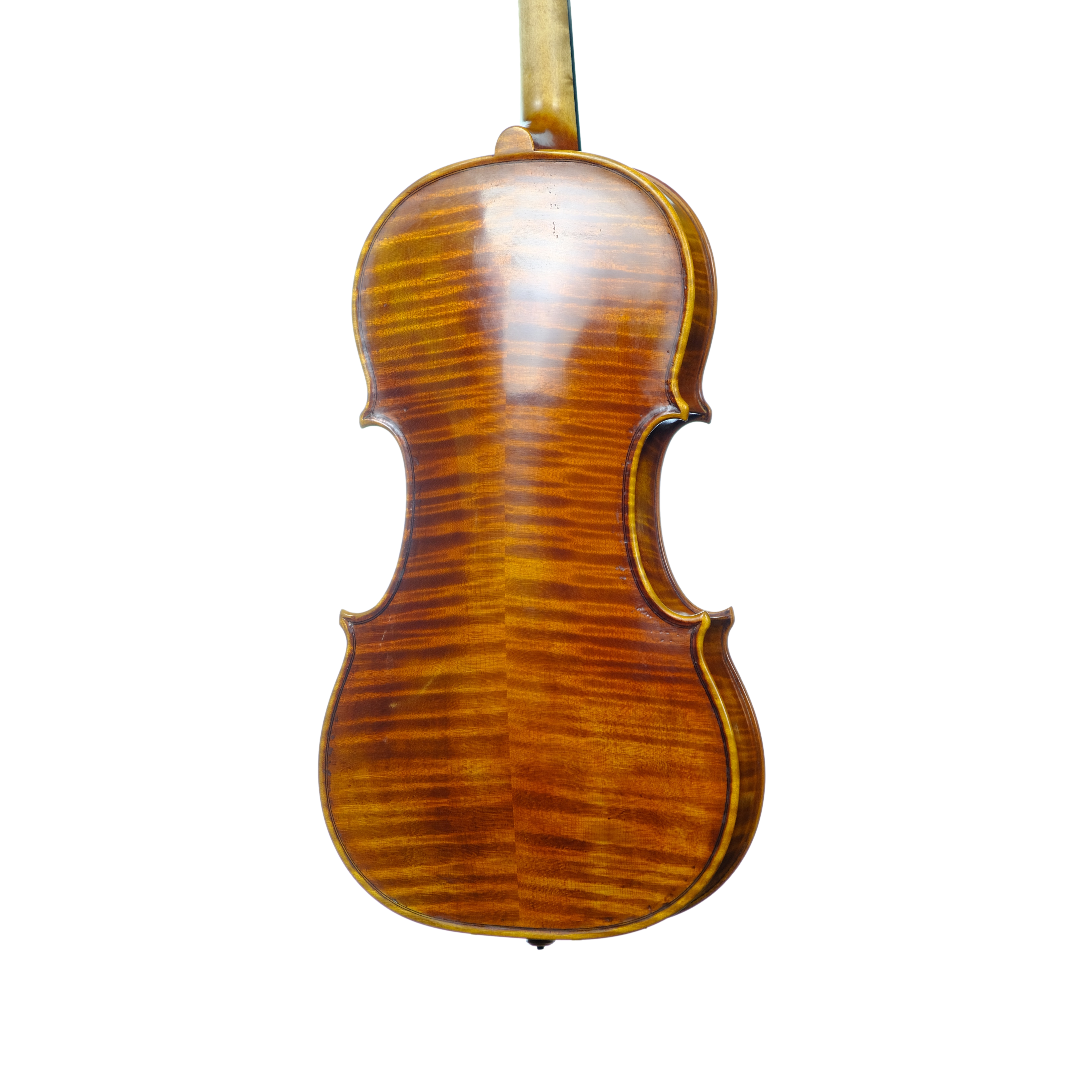 Violin - Linea Macchi, Guarneri "Lord Wilton" 2025
