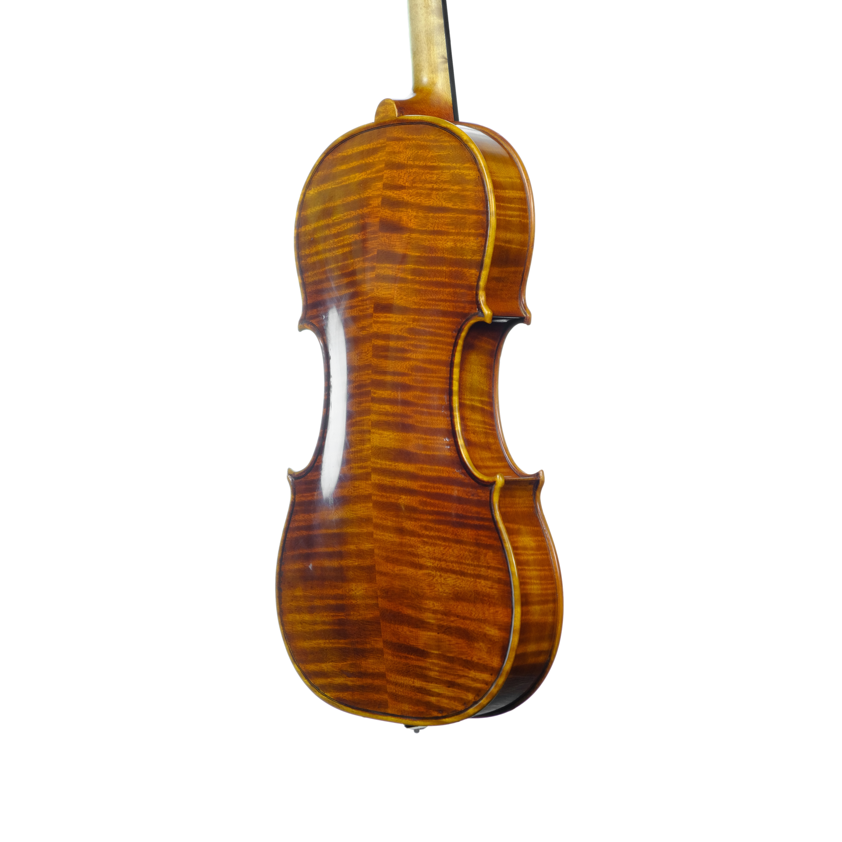 Violin - Linea Macchi, Guarneri "Lord Wilton" 2025