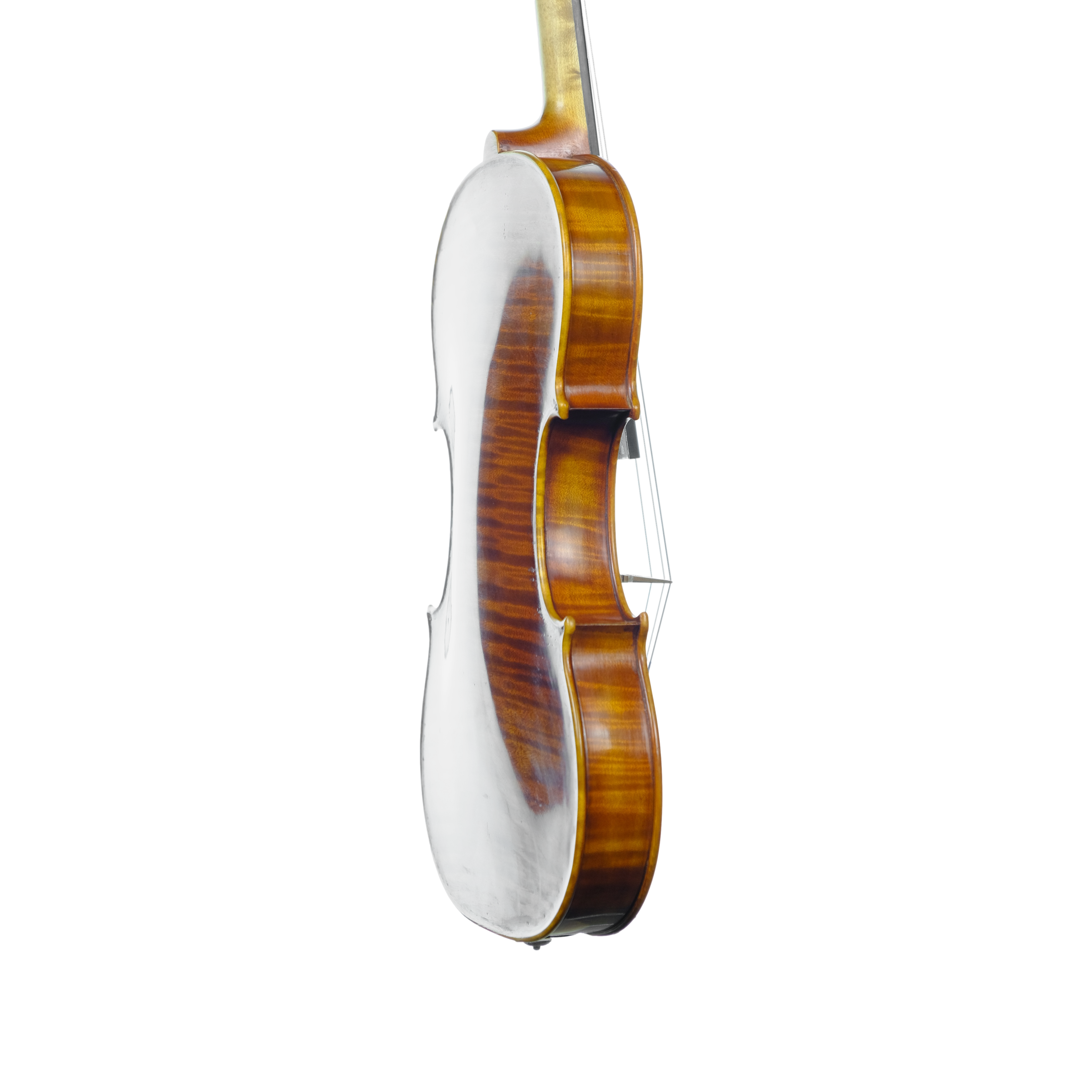 Violin - Linea Macchi, Guarneri "Lord Wilton" 2025