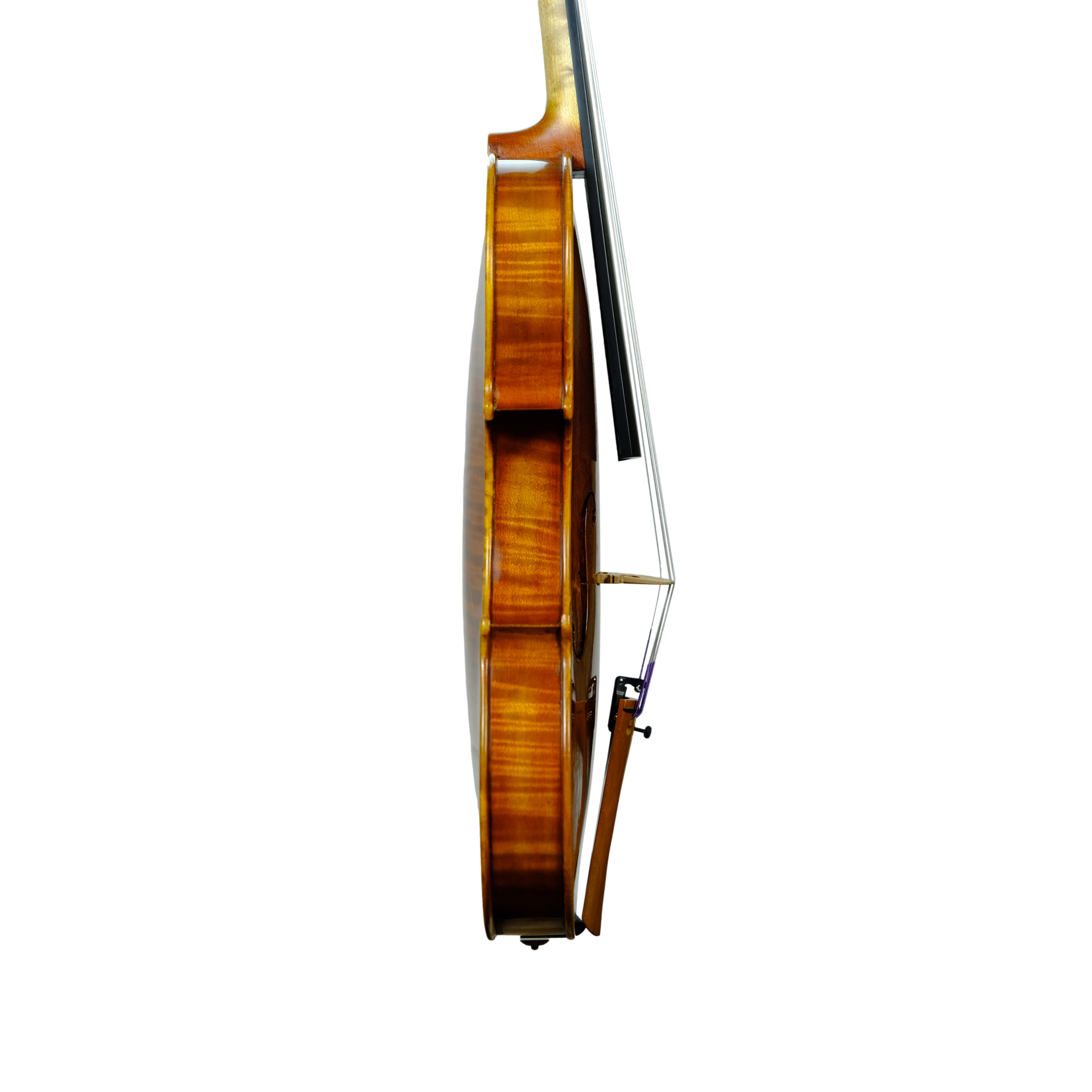 Violin - Linea Macchi, Guarneri "Lord Wilton" 2025