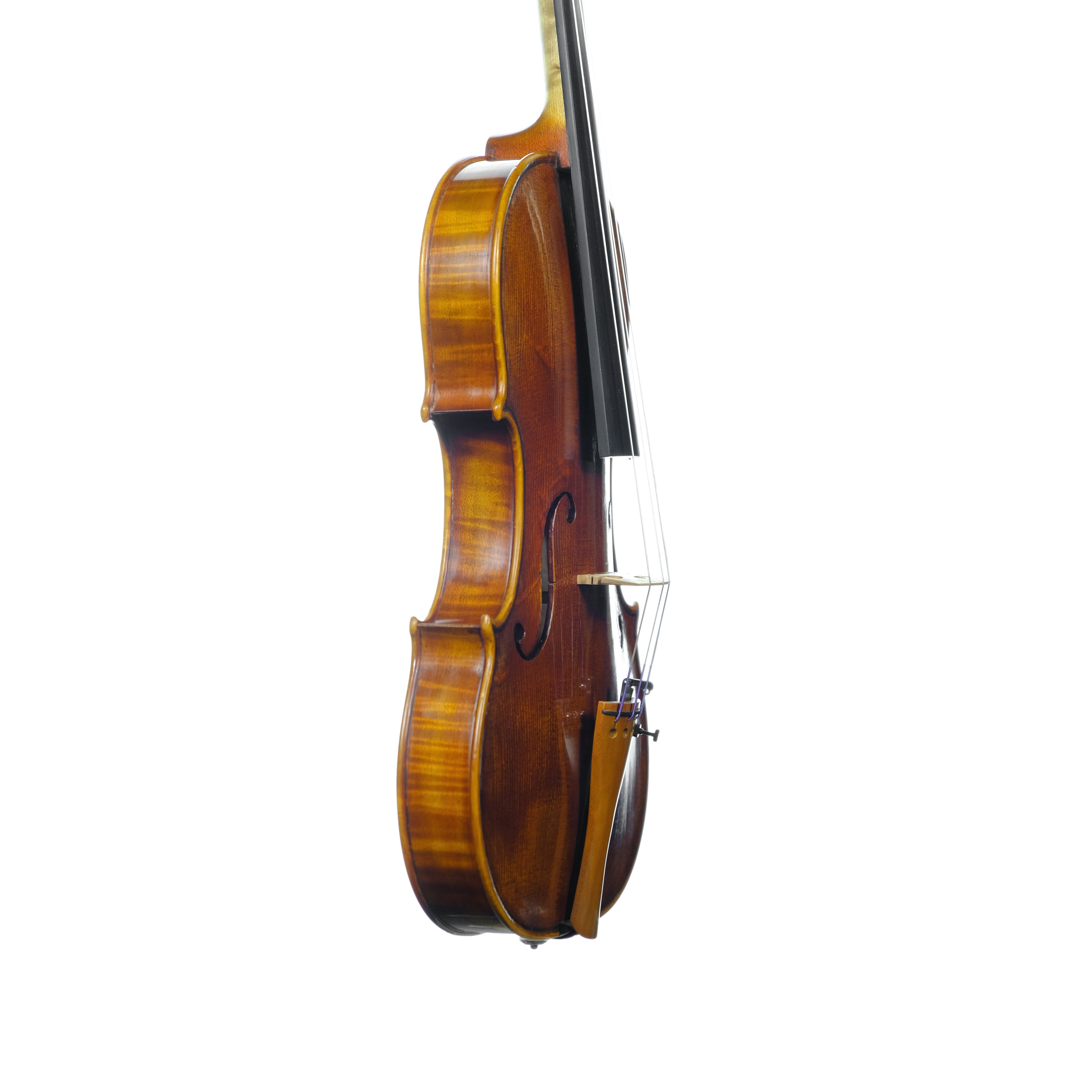Violin - Linea Macchi, Guarneri "Lord Wilton" 2025