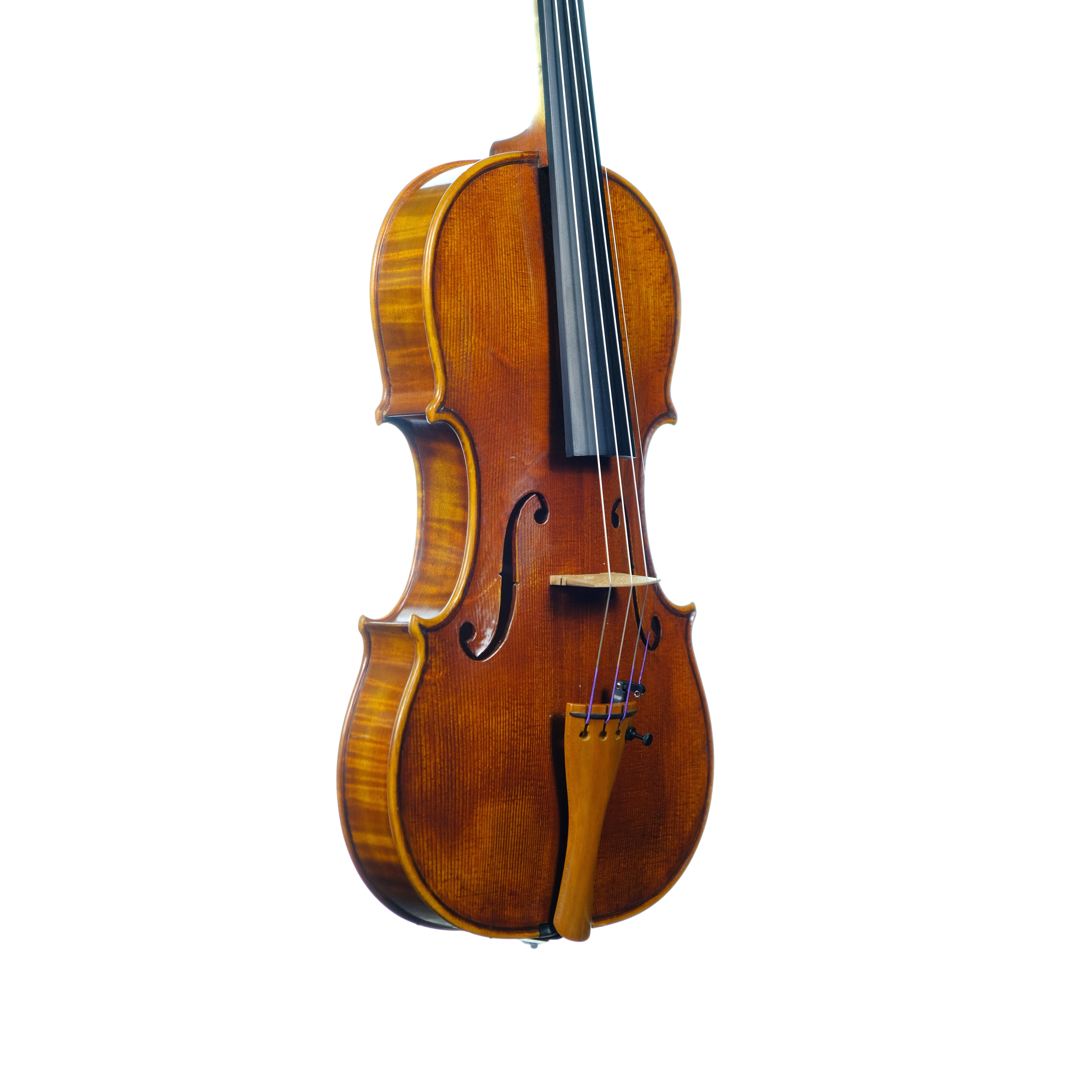 Violin - Linea Macchi, Guarneri "Lord Wilton" 2025