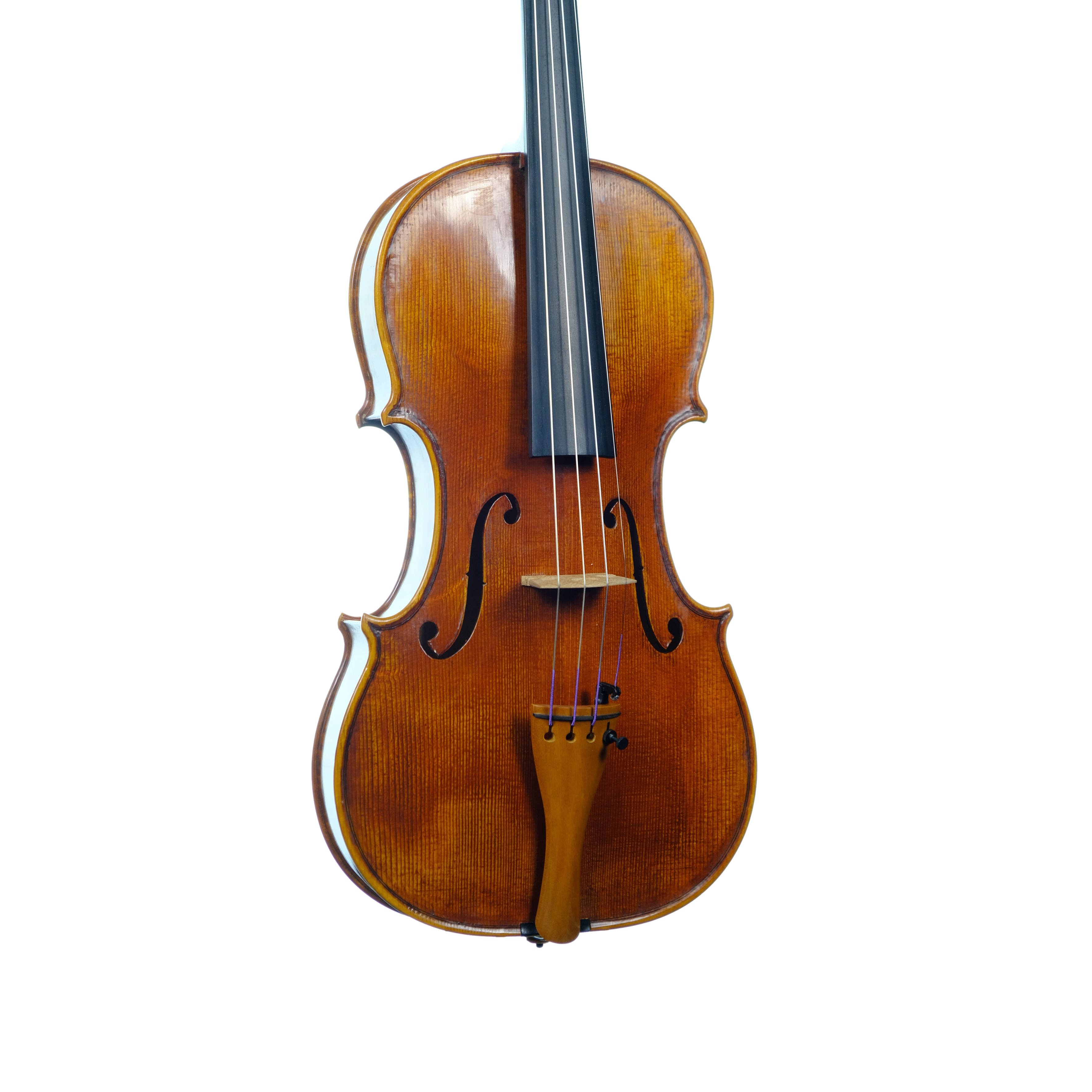 Violin - Linea Macchi, Guarneri "Lord Wilton" 2025