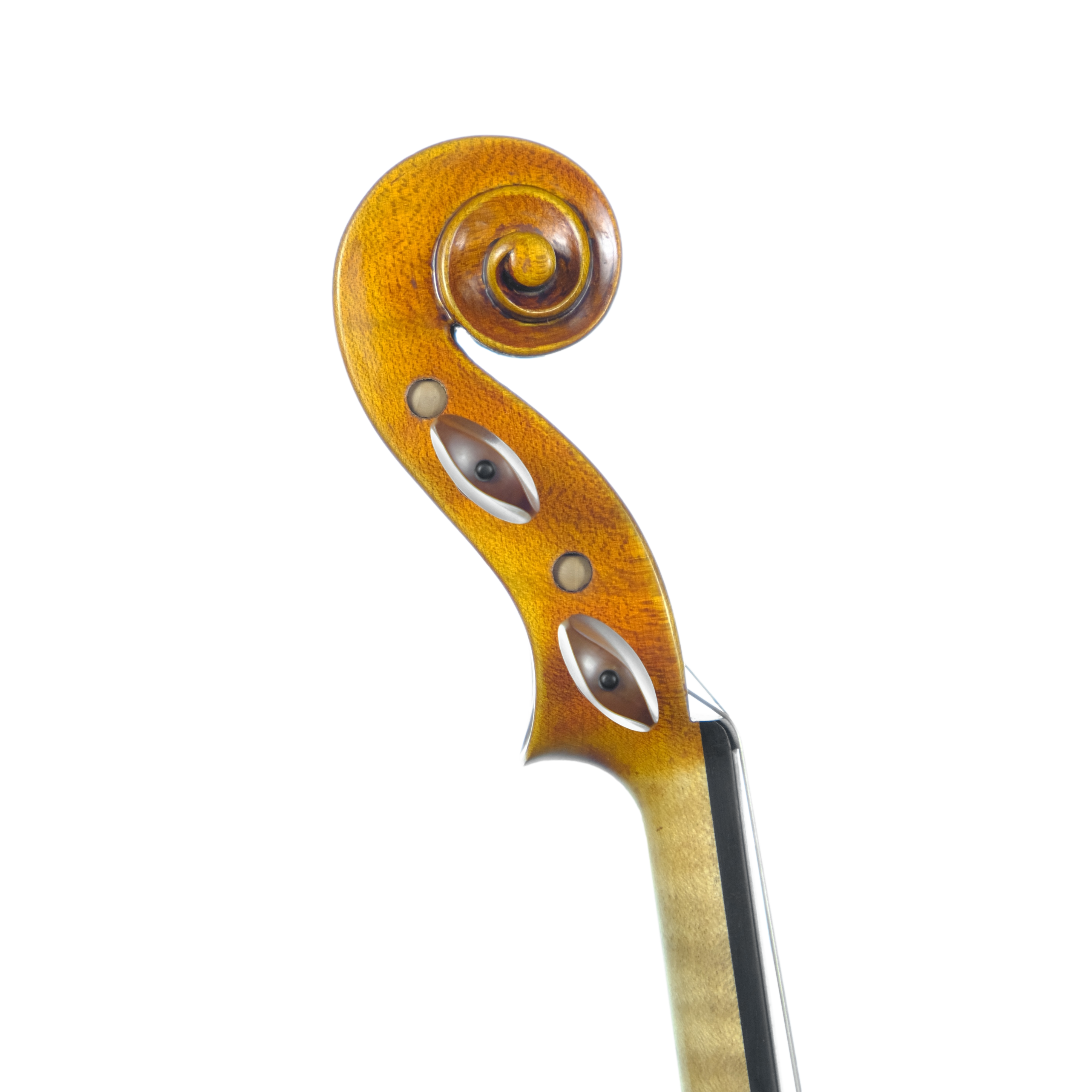 Violin - Linea Macchi, Guarneri "Lord Wilton" 2025