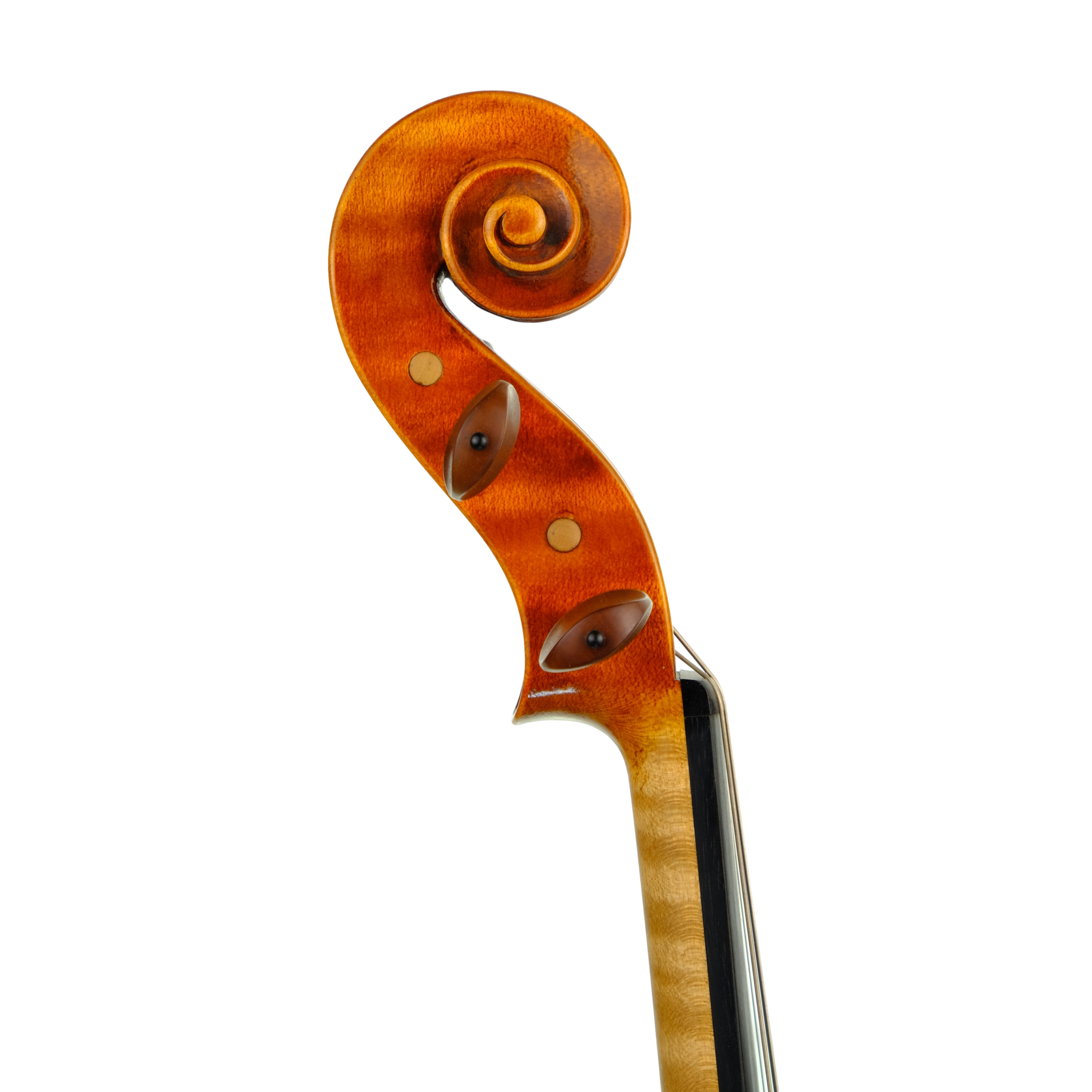 Viola 41,5cm - Linea Macchi, Cremona 2018