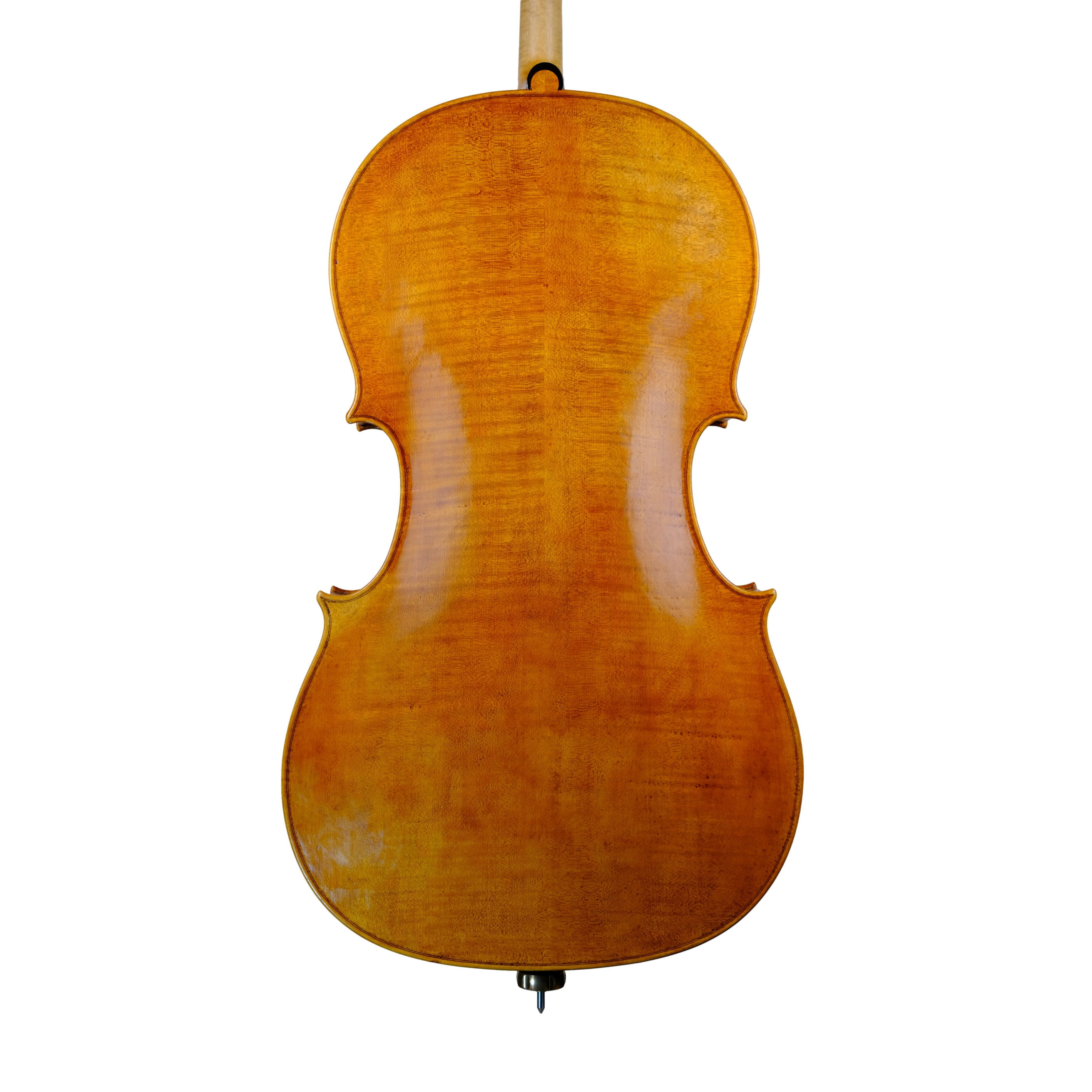 Cello - Mina Mazzolari, Francesco Ruggieri, Cremona 2021