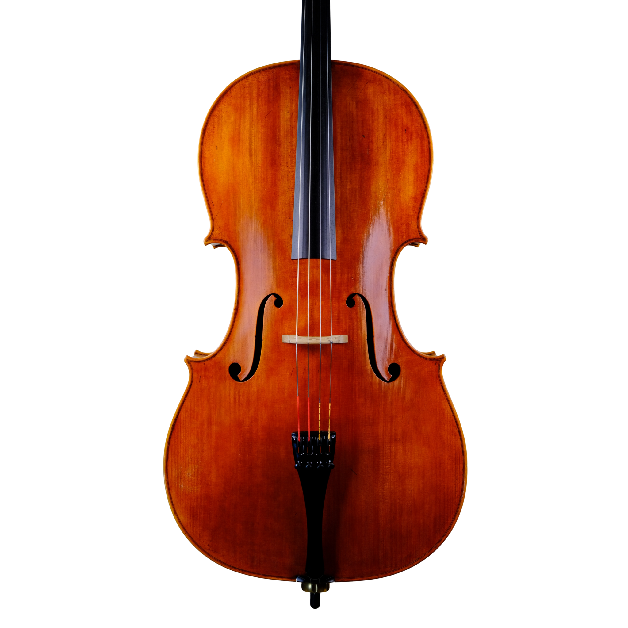 Cello - Marco Dotti, Copy of Antonio Stradivari 1710 