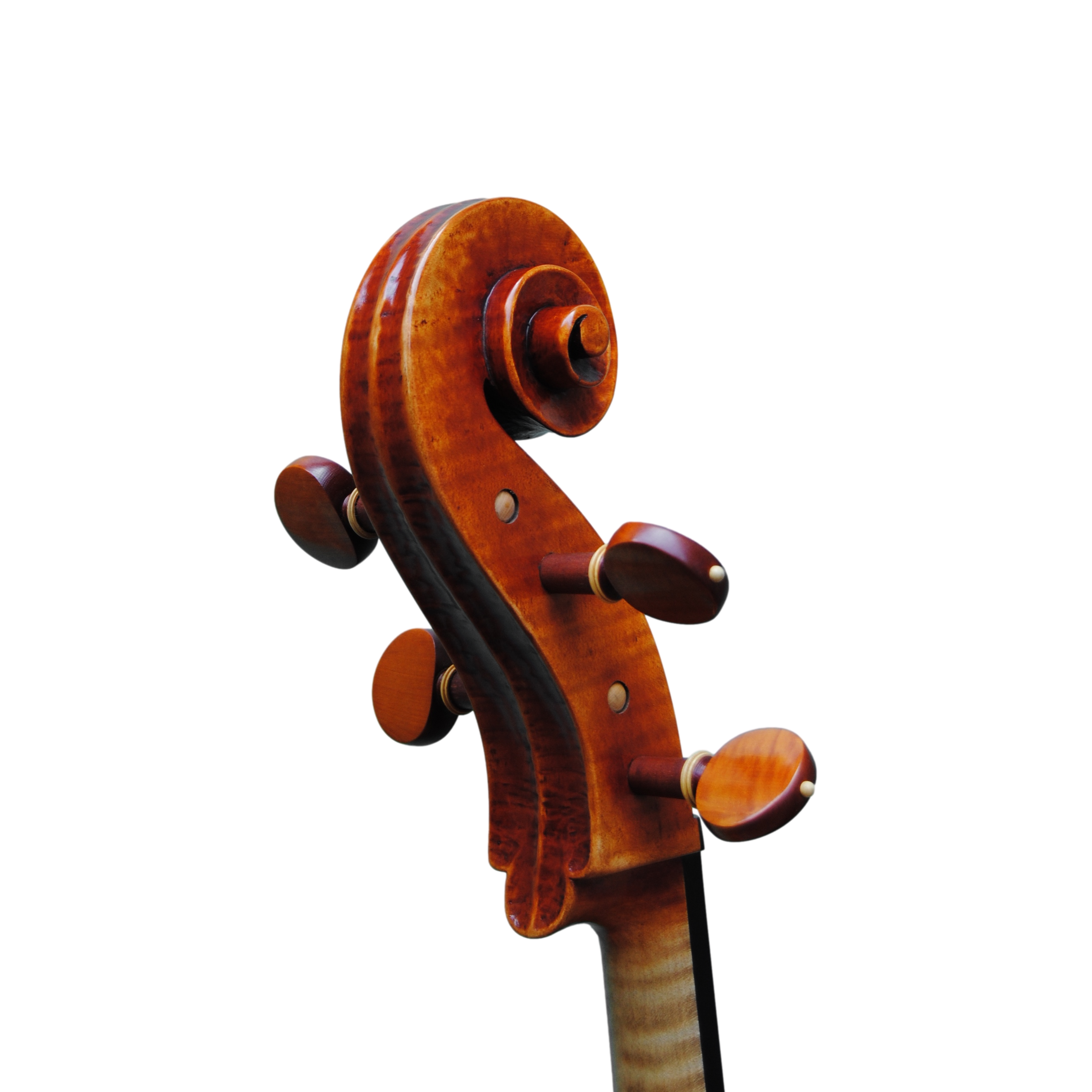 Cello - Mina Mazzolari, Copy of Domenico Montagnana "Sleeping Beauty 1739, Cremona 2020