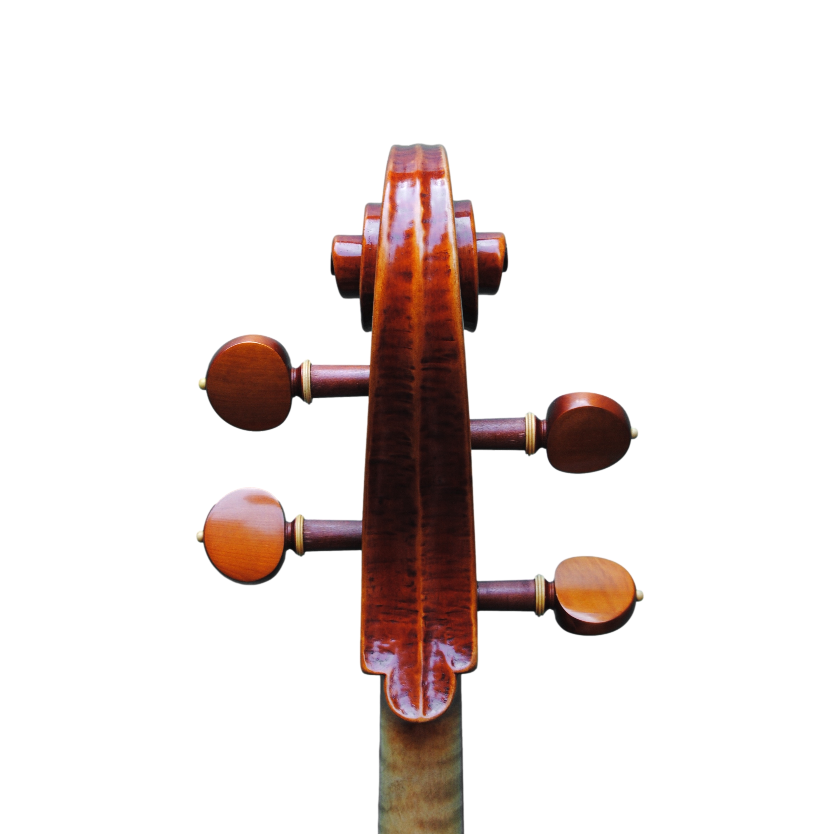 Cello - Mina Mazzolari, Copy of Domenico Montagnana "Sleeping Beauty 1739, Cremona 2020