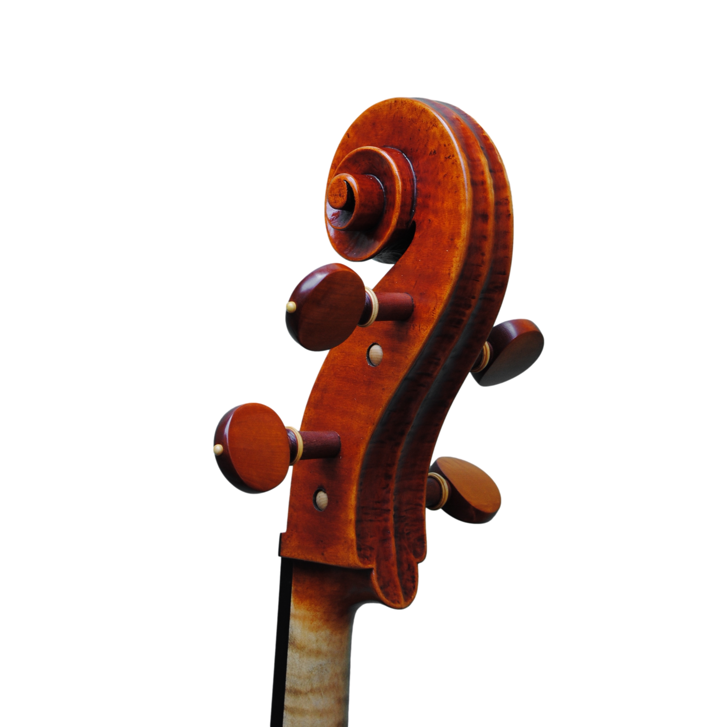 Cello - Mina Mazzolari, Copy of Domenico Montagnana "Sleeping Beauty 1739, Cremona 2020