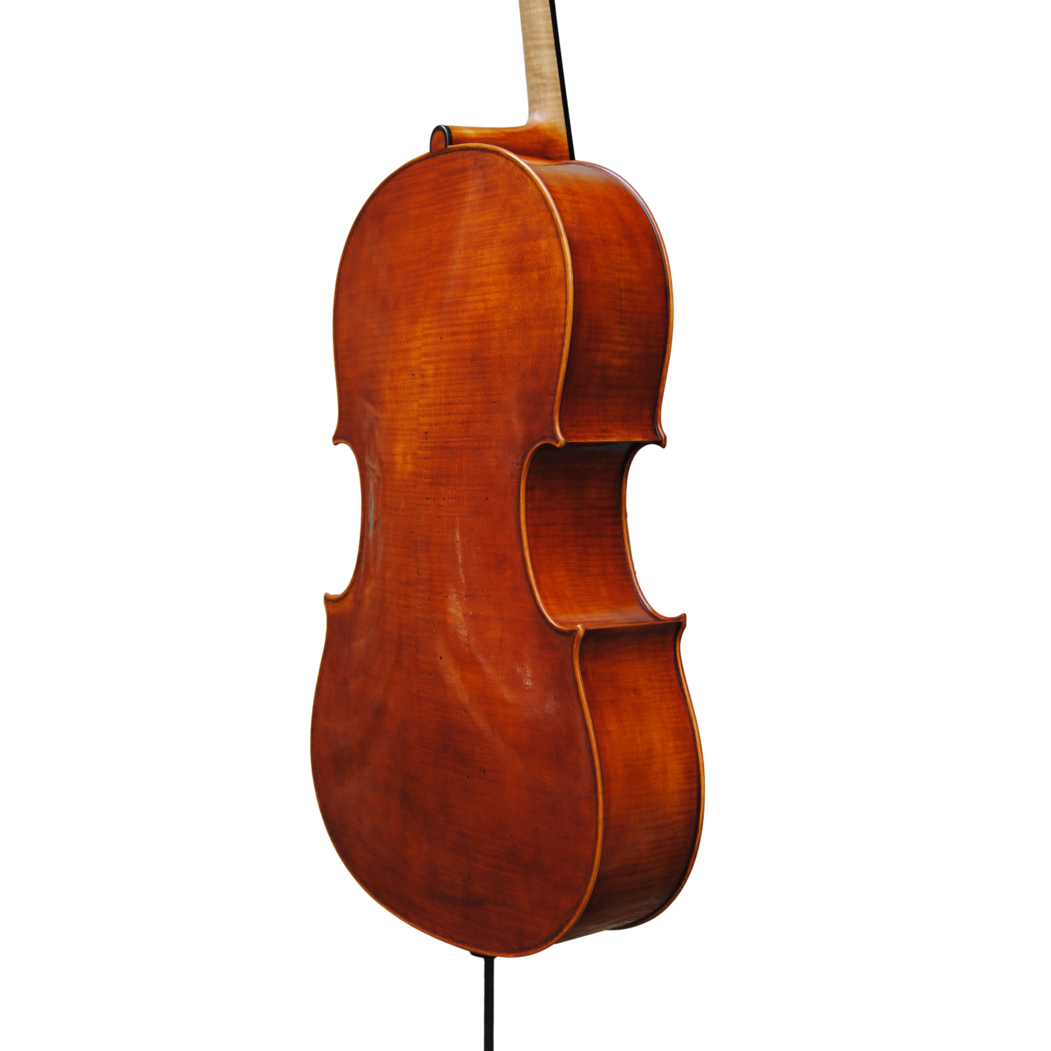 Cello - Edgar Russ, Copy of Domenico Montagnana "Sleeping Beauty 1739", Cremona 2022