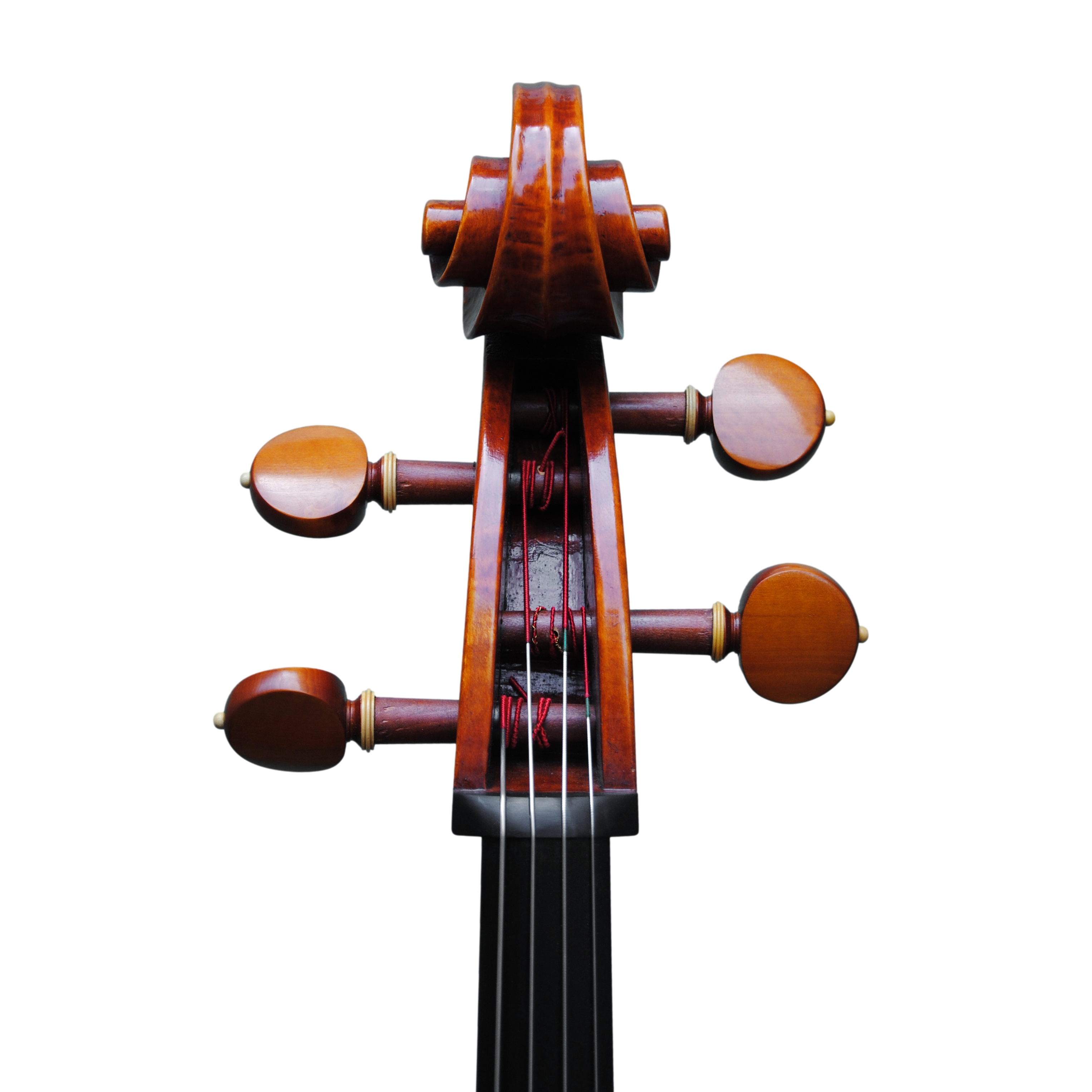 Cello - Mina Mazzolari, Copy of Domenico Montagnana "Sleeping Beauty 1739, Cremona 2020