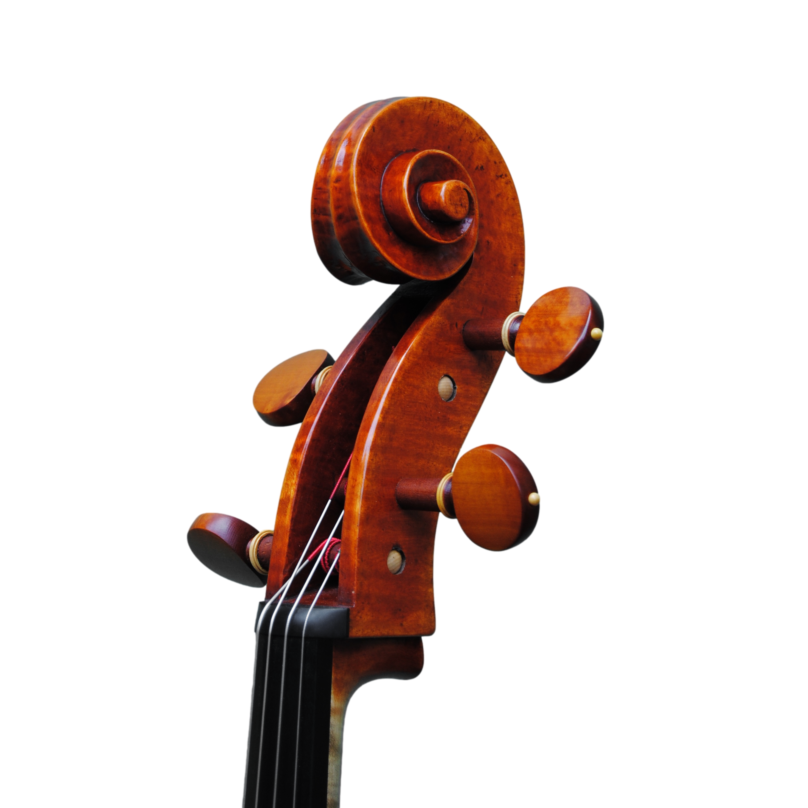 Cello - Mina Mazzolari, Copy of Domenico Montagnana "Sleeping Beauty 1739, Cremona 2020