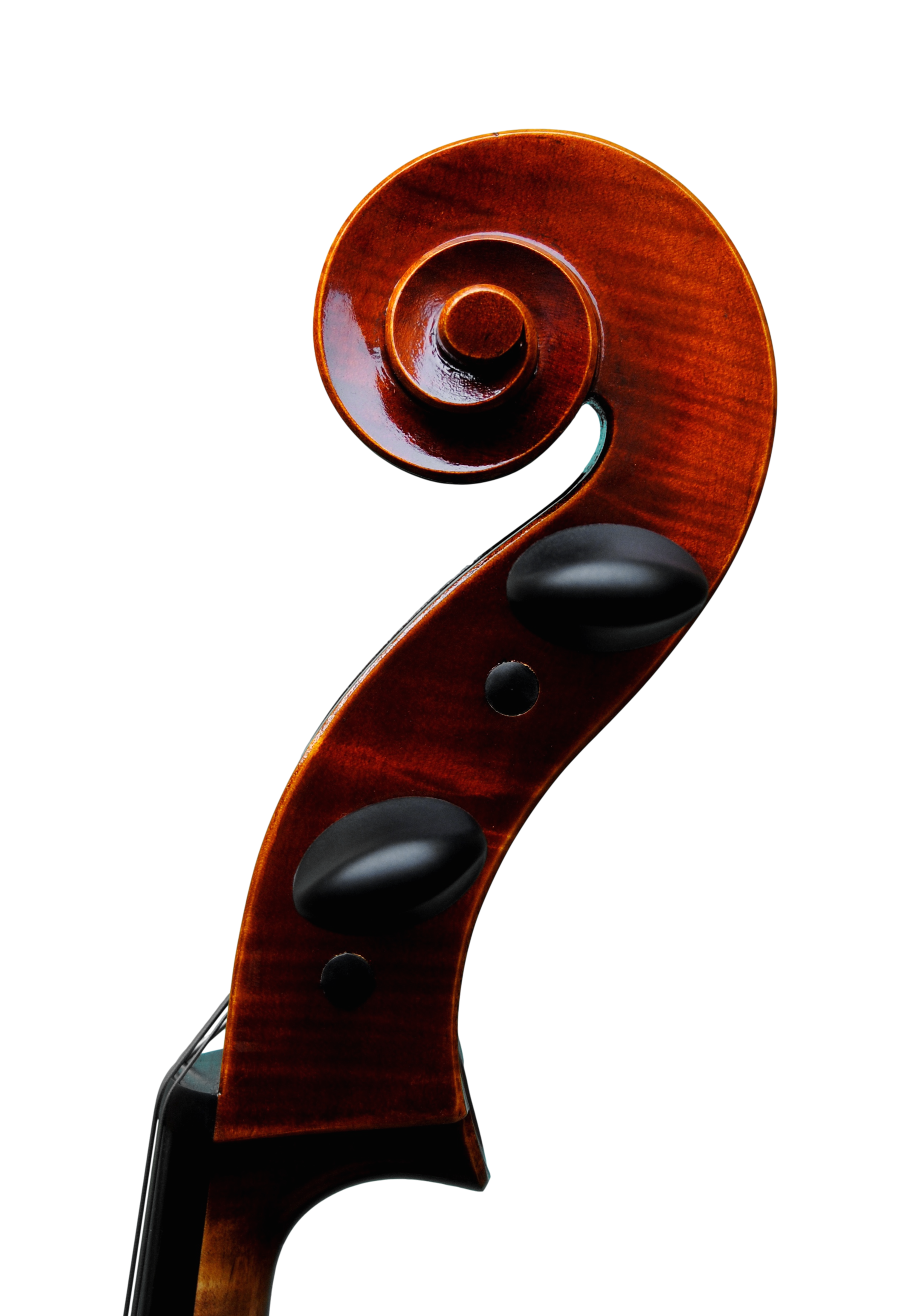 Cello - Scala Perfetta 7/8, Stradivari