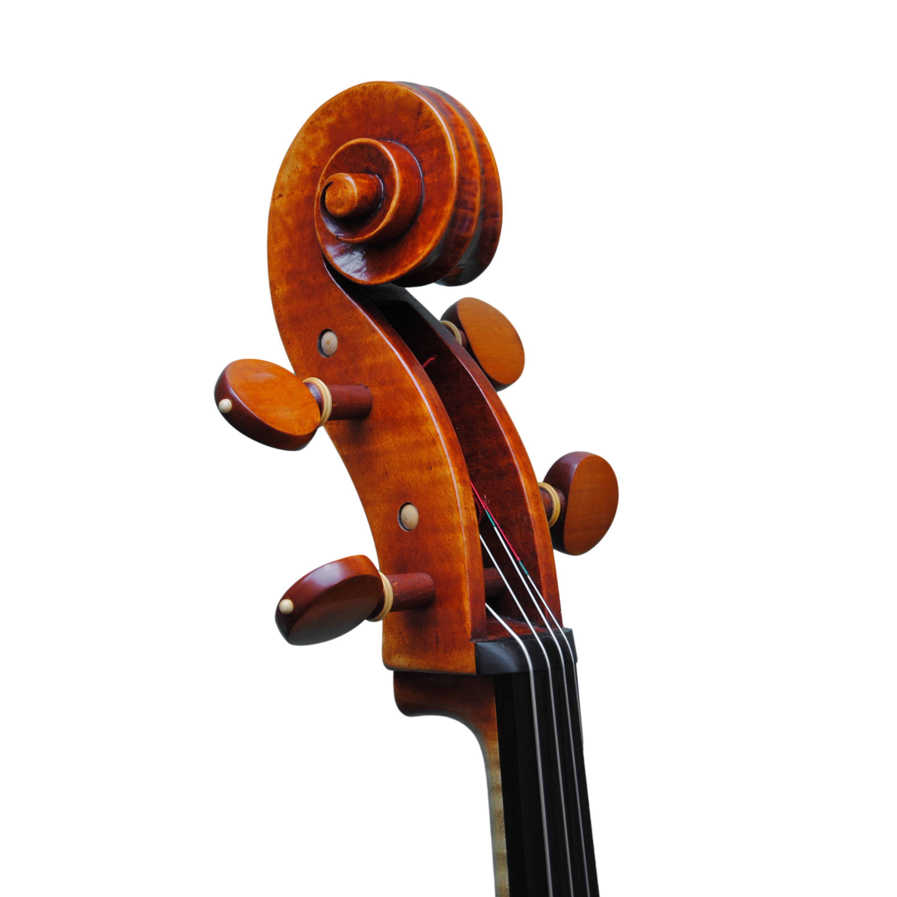 Cello - Mina Mazzolari, Copy of Domenico Montagnana "Sleeping Beauty 1739, Cremona 2020