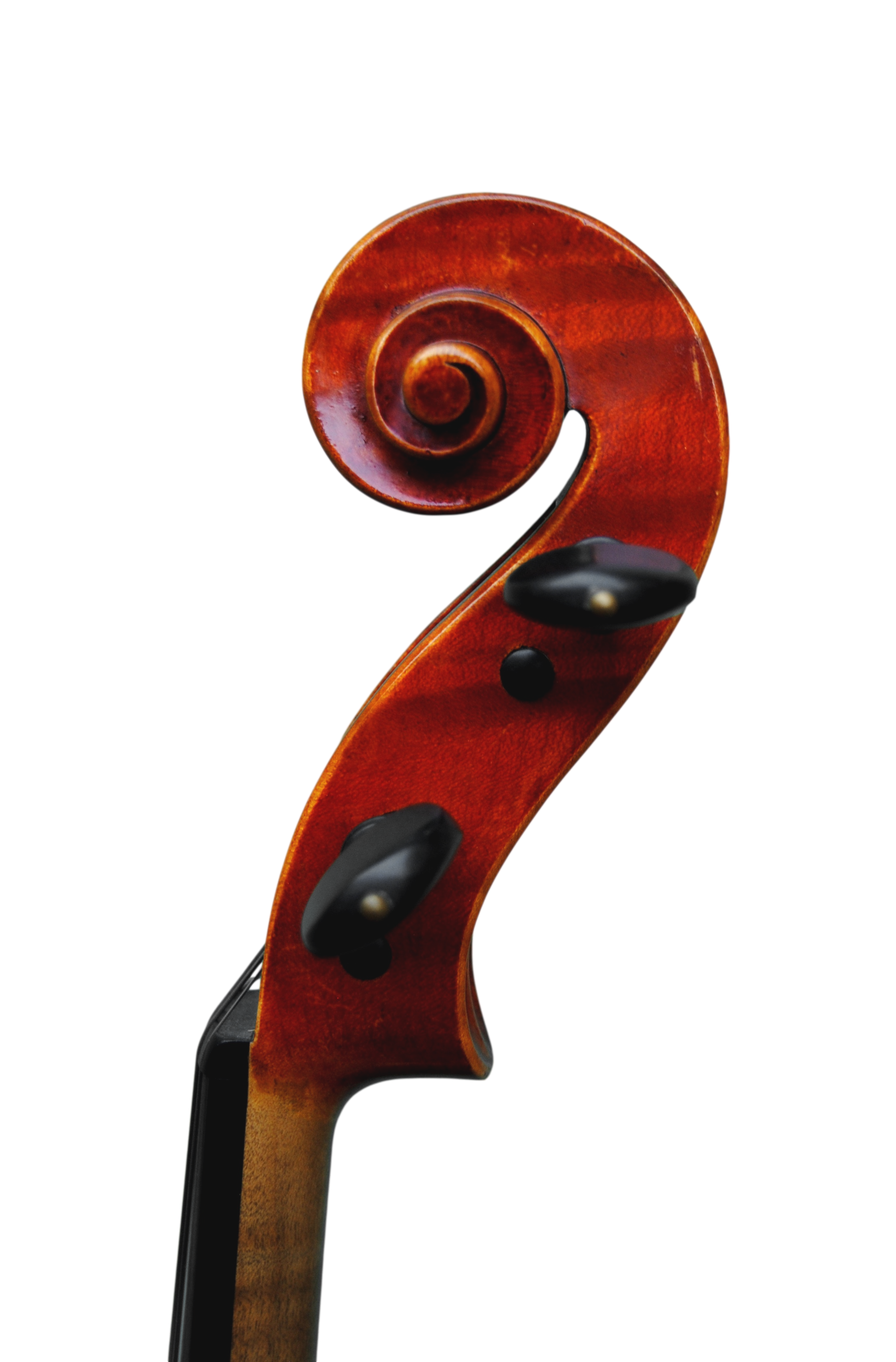 Viola 41,5cm