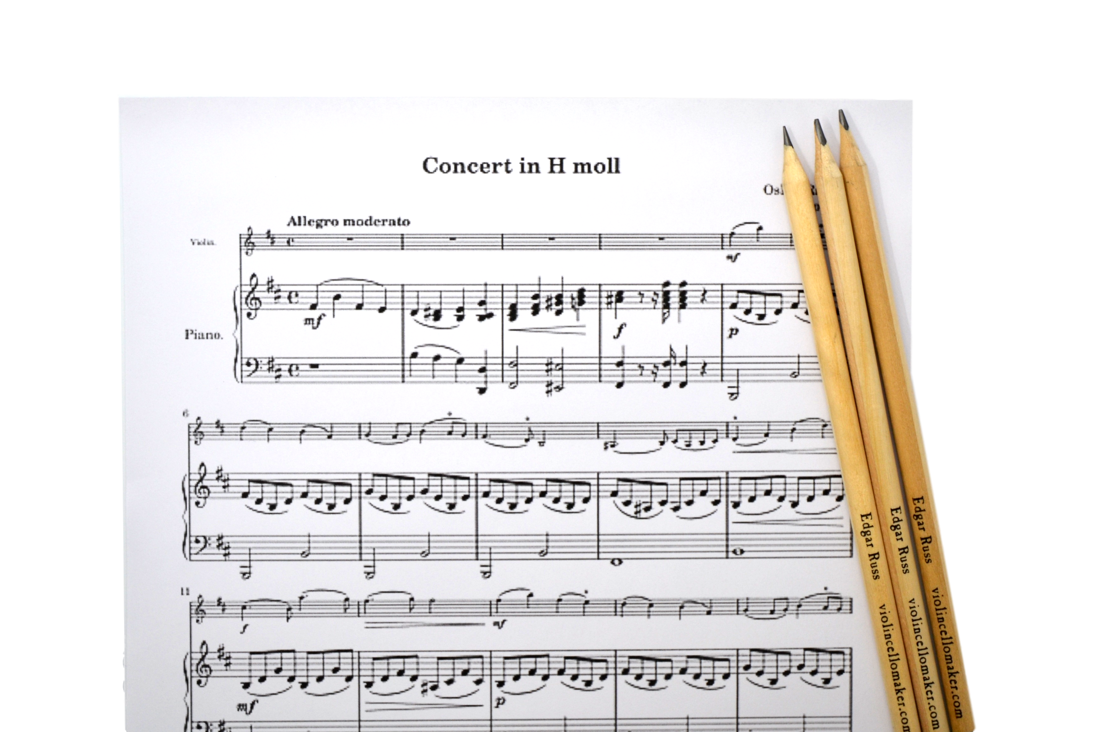 Set of 10 Pencils 🎻