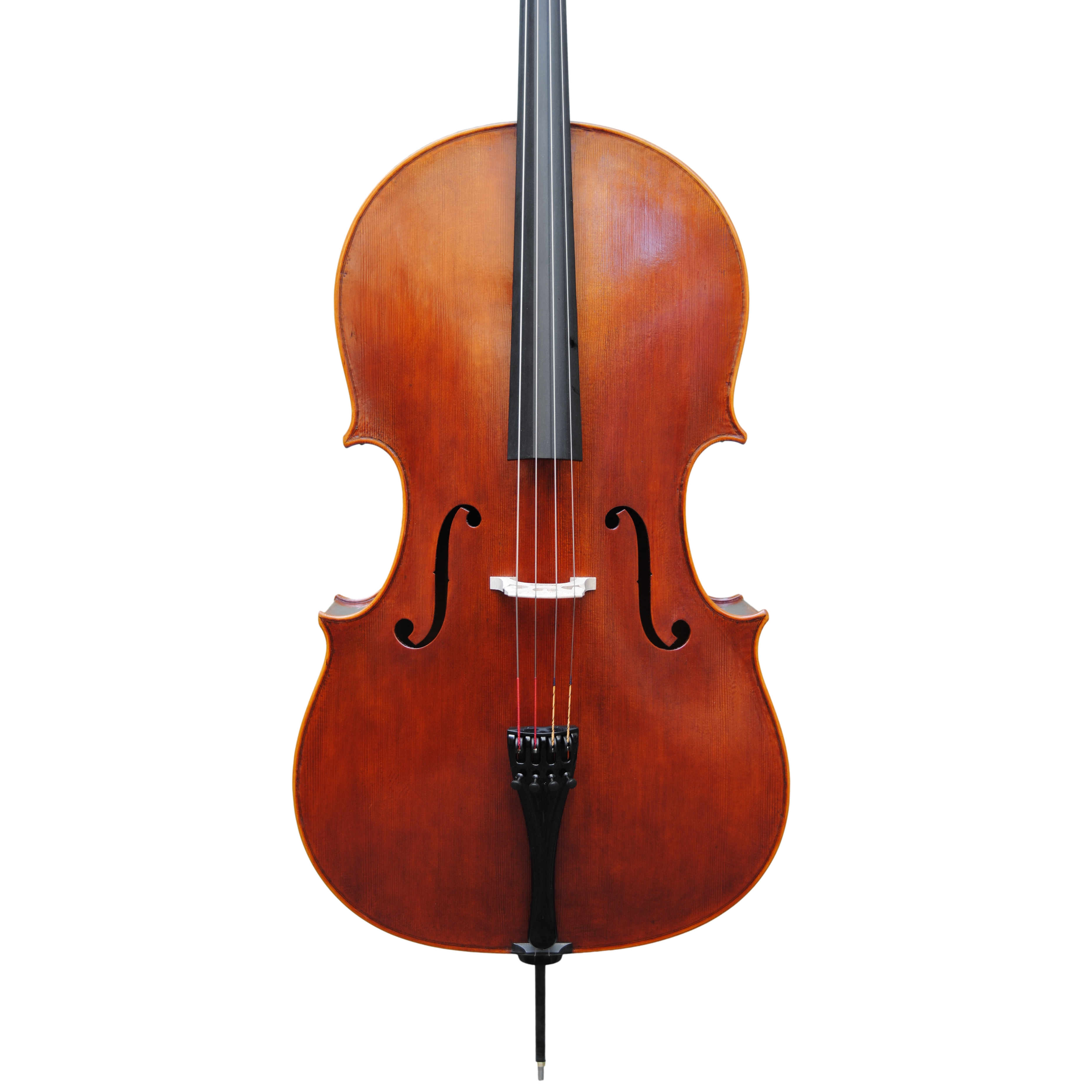 Cello - Mina Mazzolari, Copy of Domenico Montagnana "Sleeping Beauty 1739, Cremona 2020