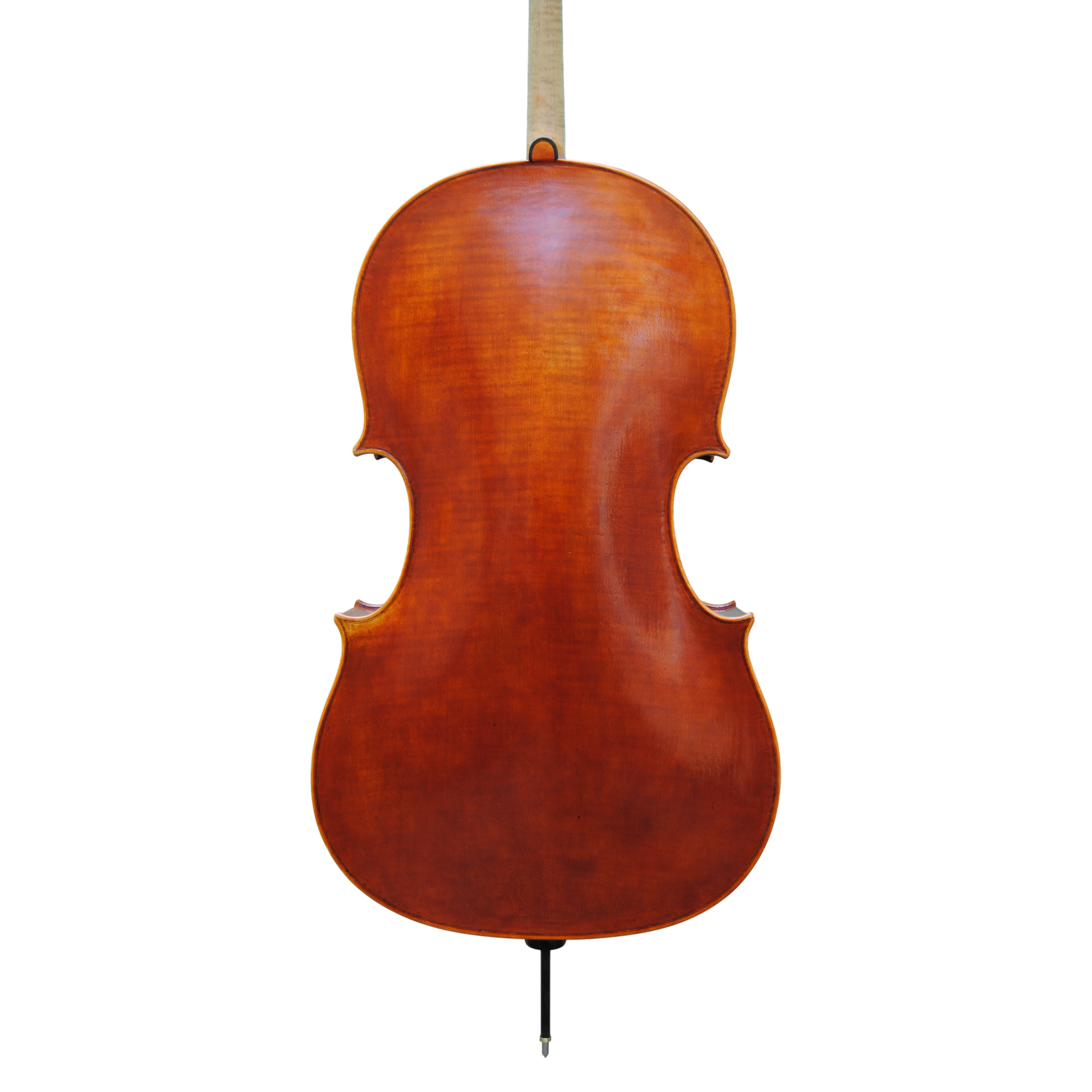 Cello - Mina Mazzolari, Copy of Domenico Montagnana "Sleeping Beauty 1739, Cremona 2020