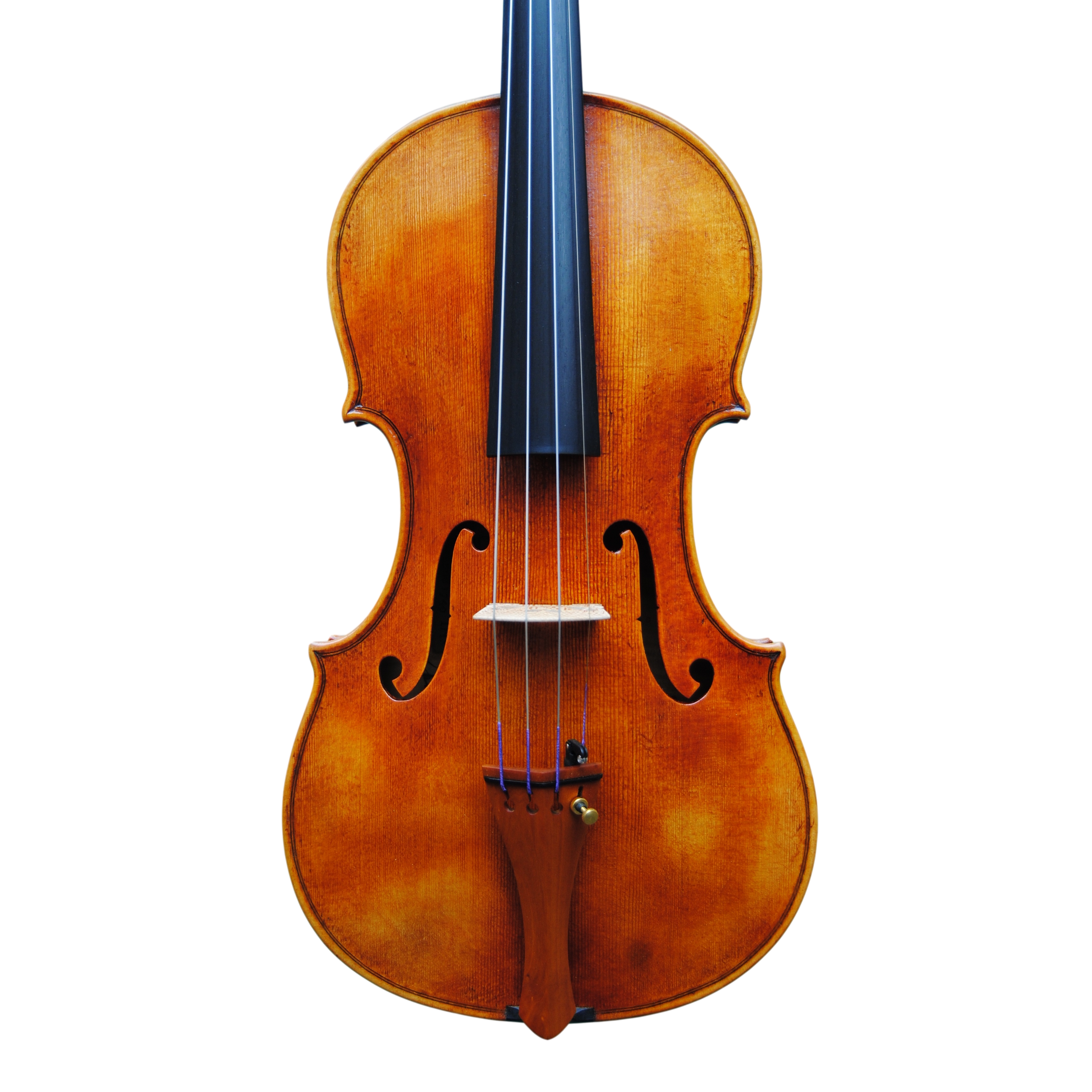 Violin - Mina Mazzolari, Copy of Guarneri del Gesú "Heifetz"