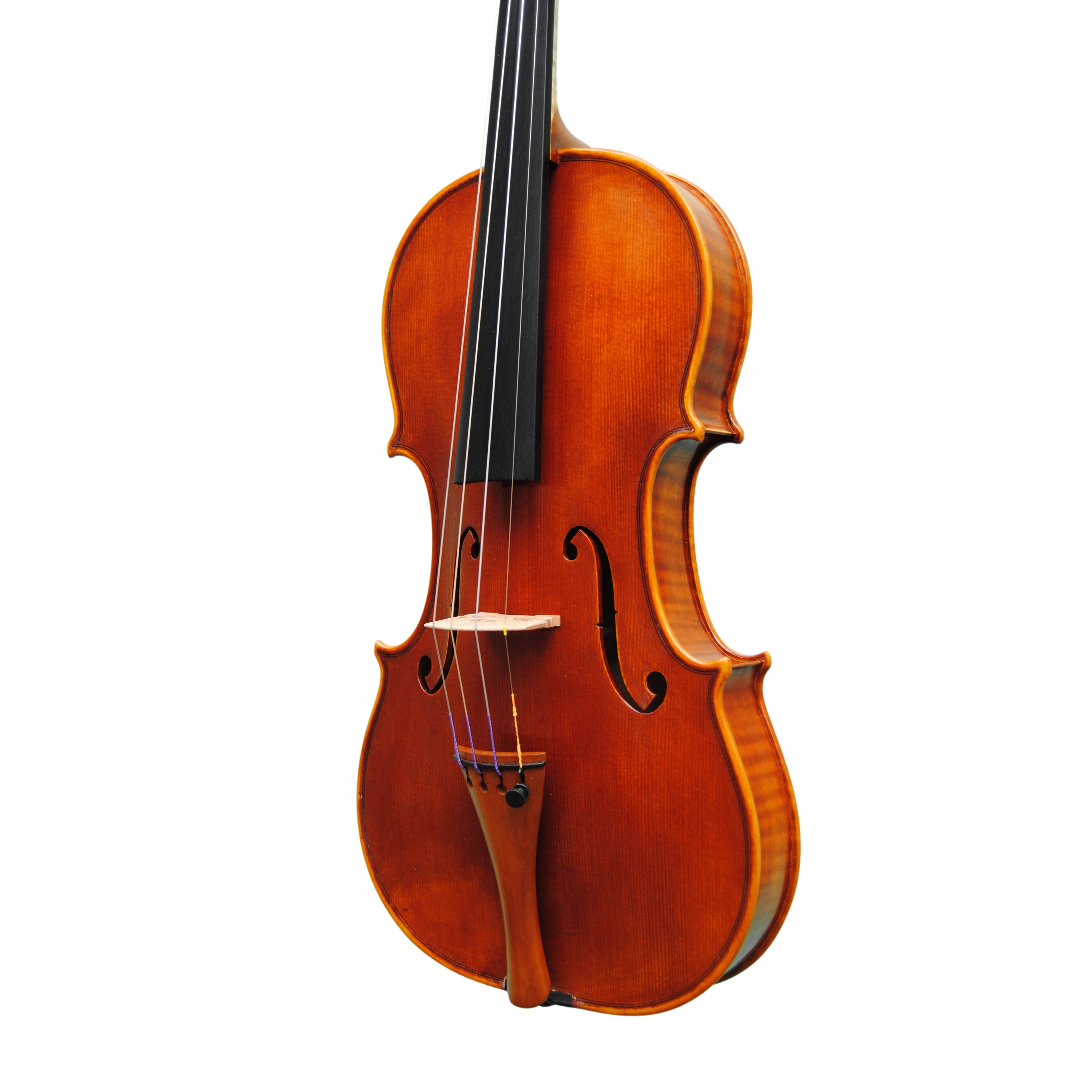 Violin - Linea Macchi, Guarneri "Lord Wilton"