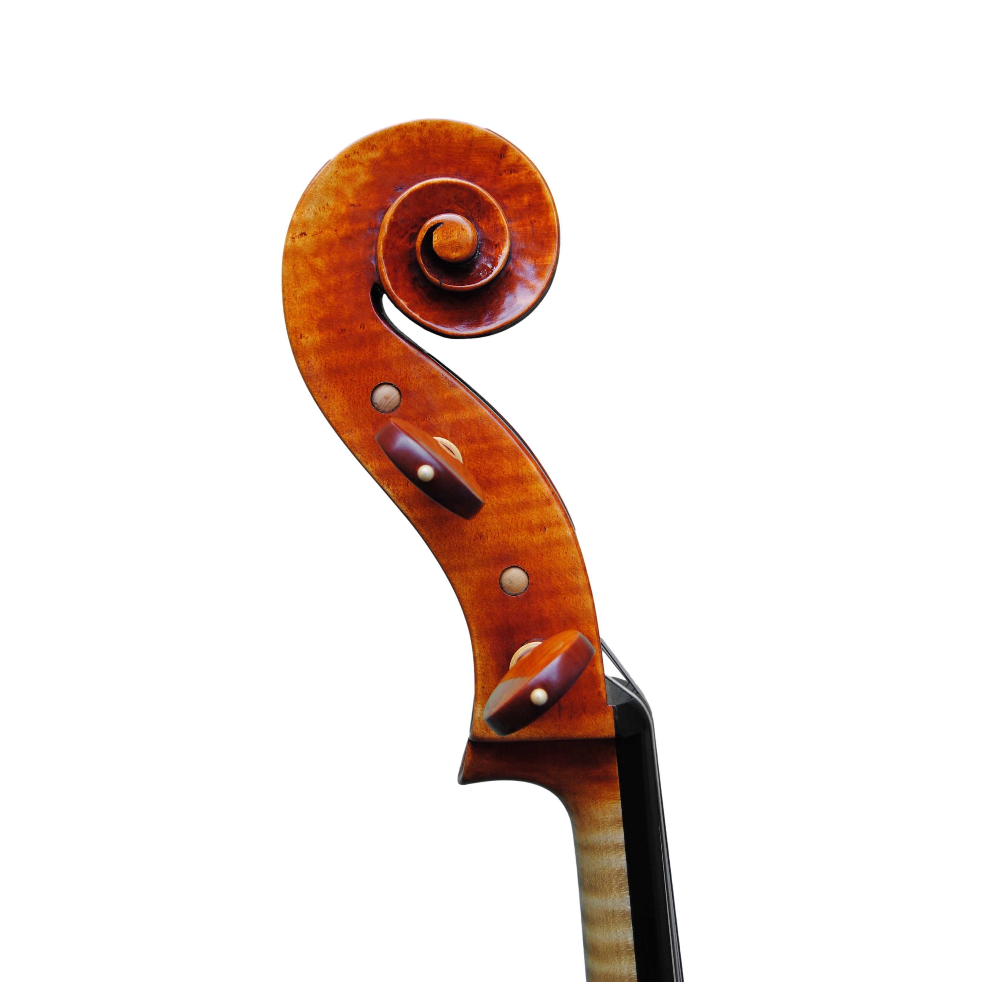 Cello - Mina Mazzolari, Copy of Domenico Montagnana "Sleeping Beauty 1739, Cremona 2020