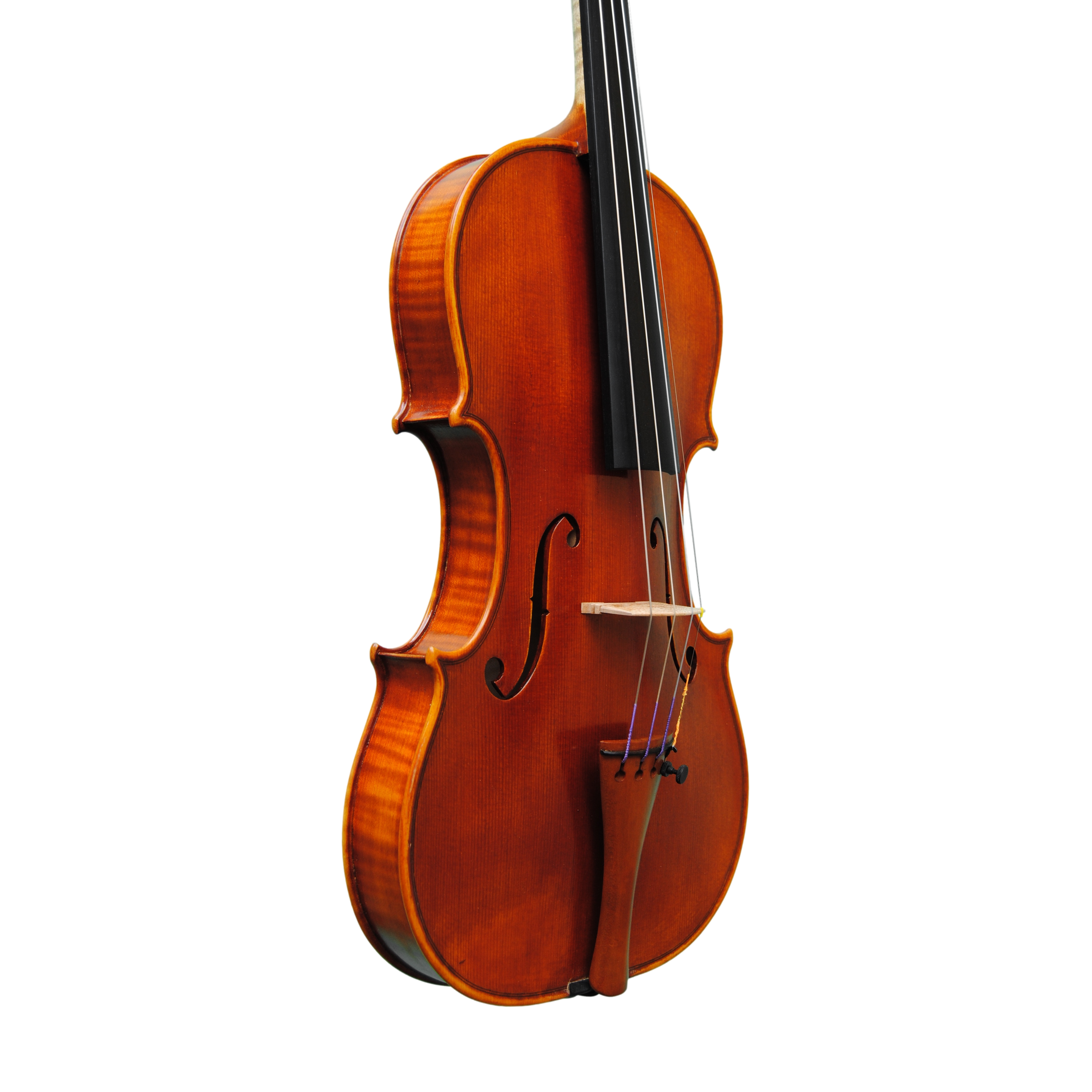 Violin - Linea Macchi, Guarneri "Lord Wilton"