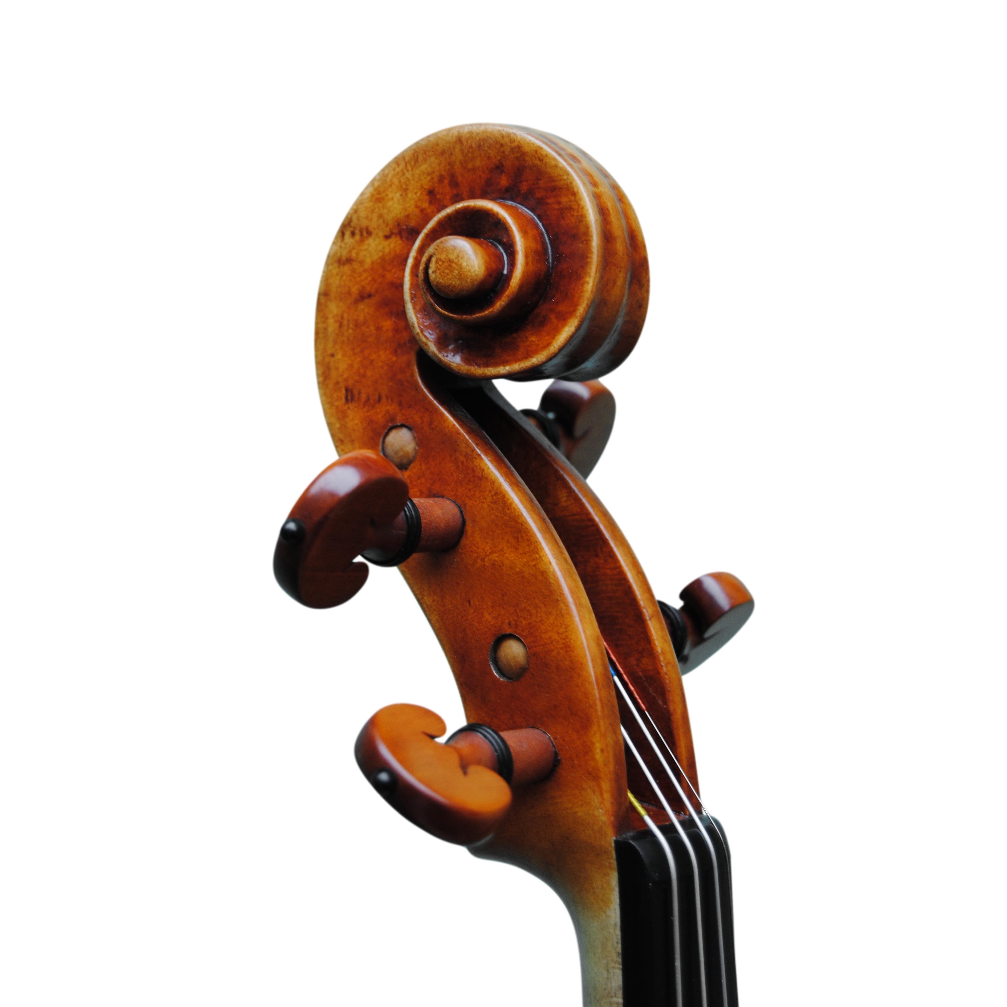 Violin - Mina Mazzolari, Copy of Guarneri del Gesú "Heifetz"