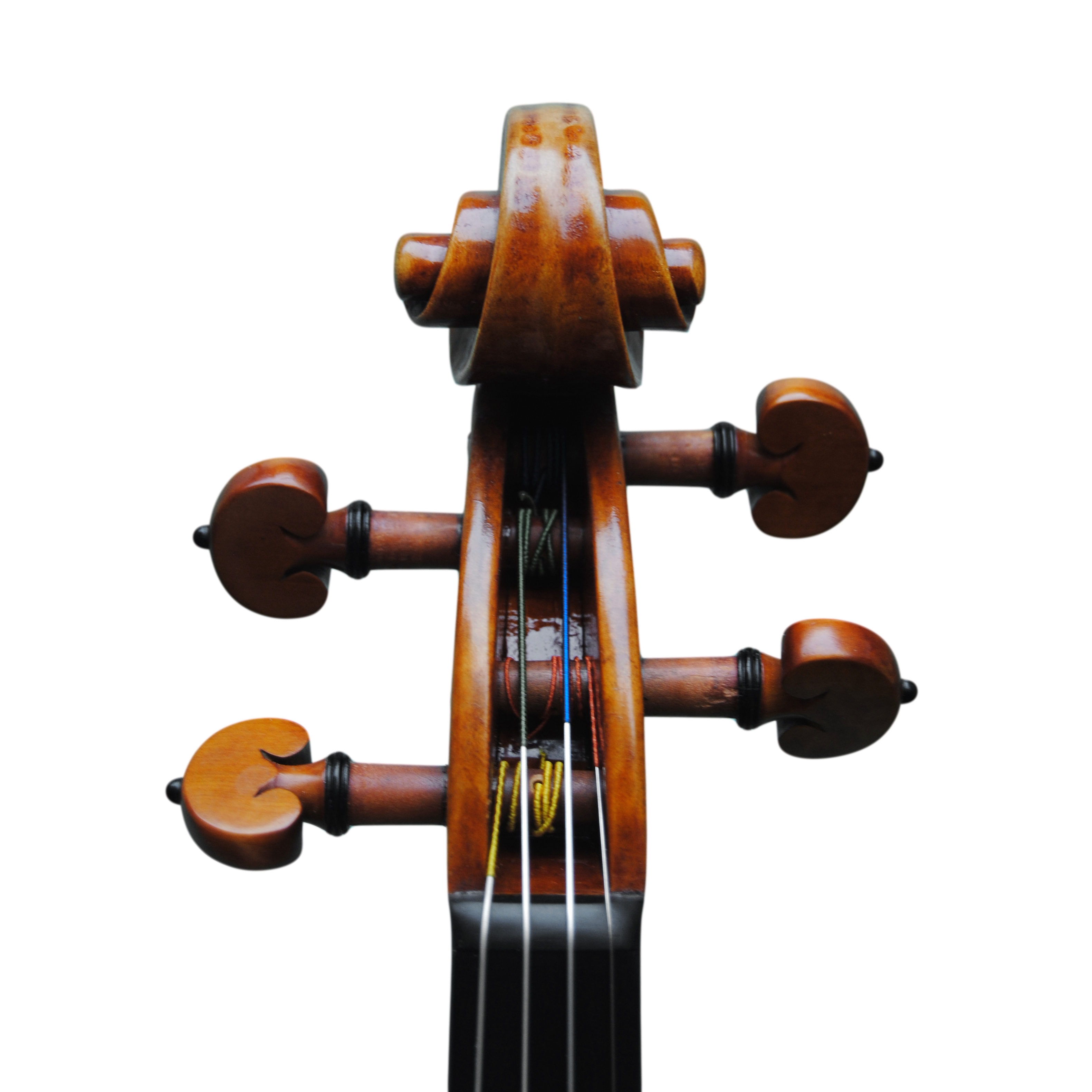 Violin - Mina Mazzolari, Copy of Guarneri del Gesú "Heifetz"