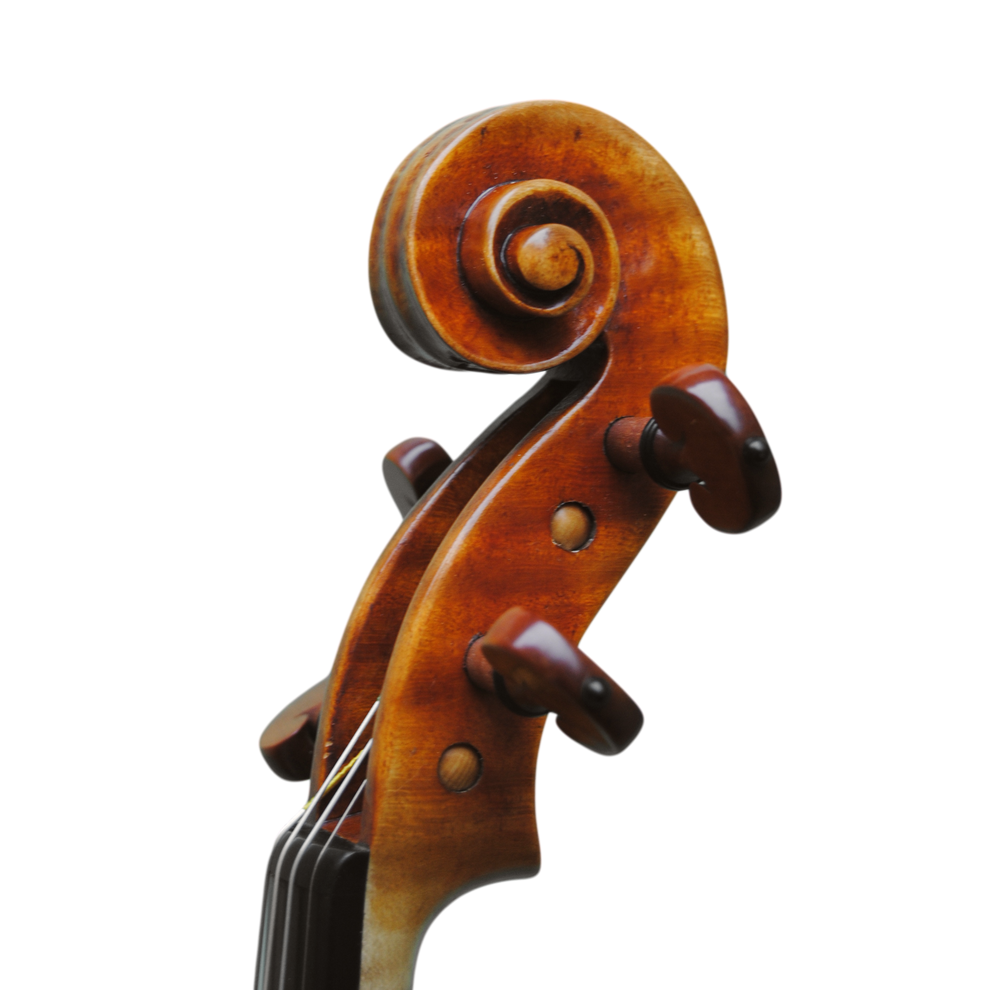 Violin - Mina Mazzolari, Copy of Guarneri del Gesú "Heifetz"