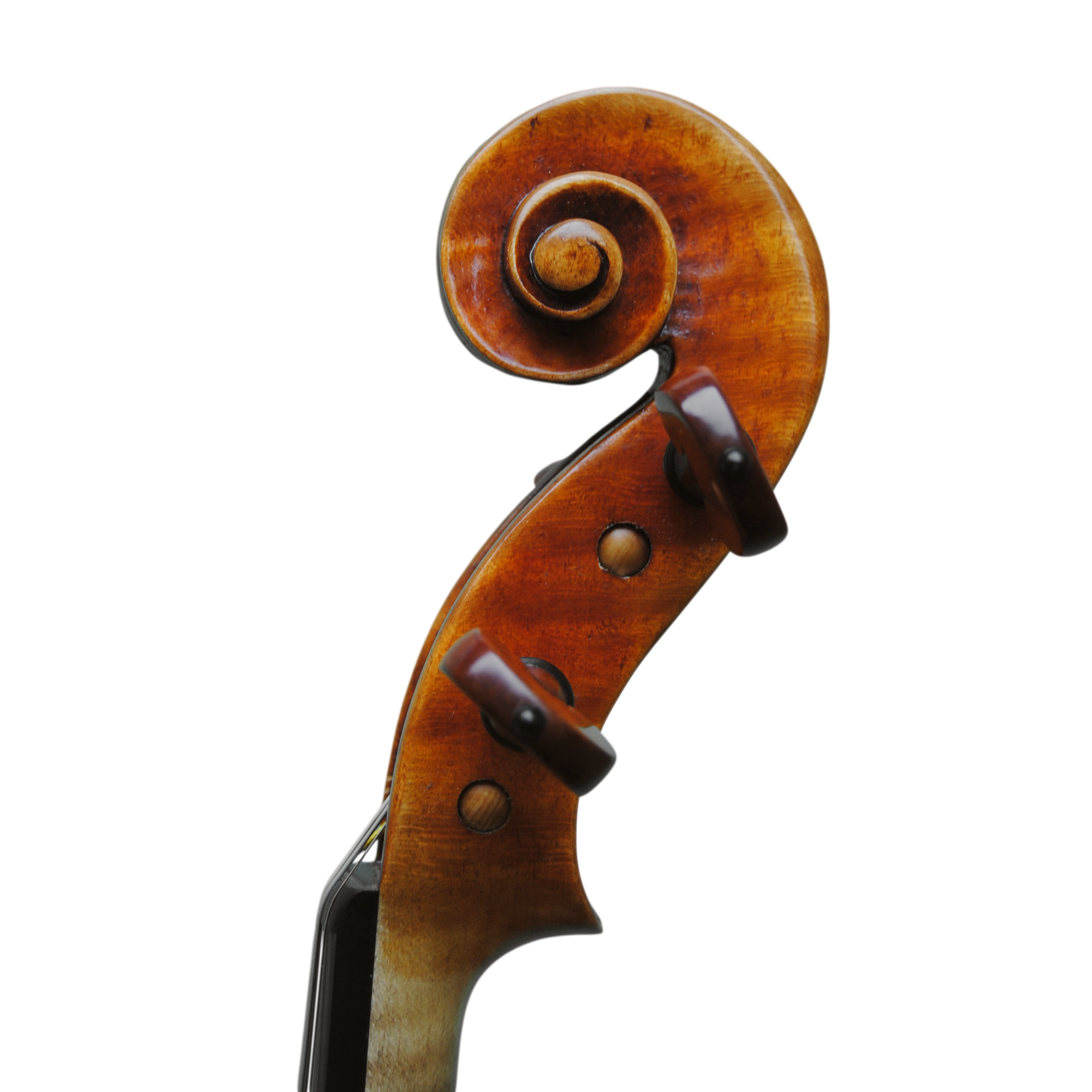 Violin - Mina Mazzolari, Copy of Guarneri del Gesú "Heifetz"