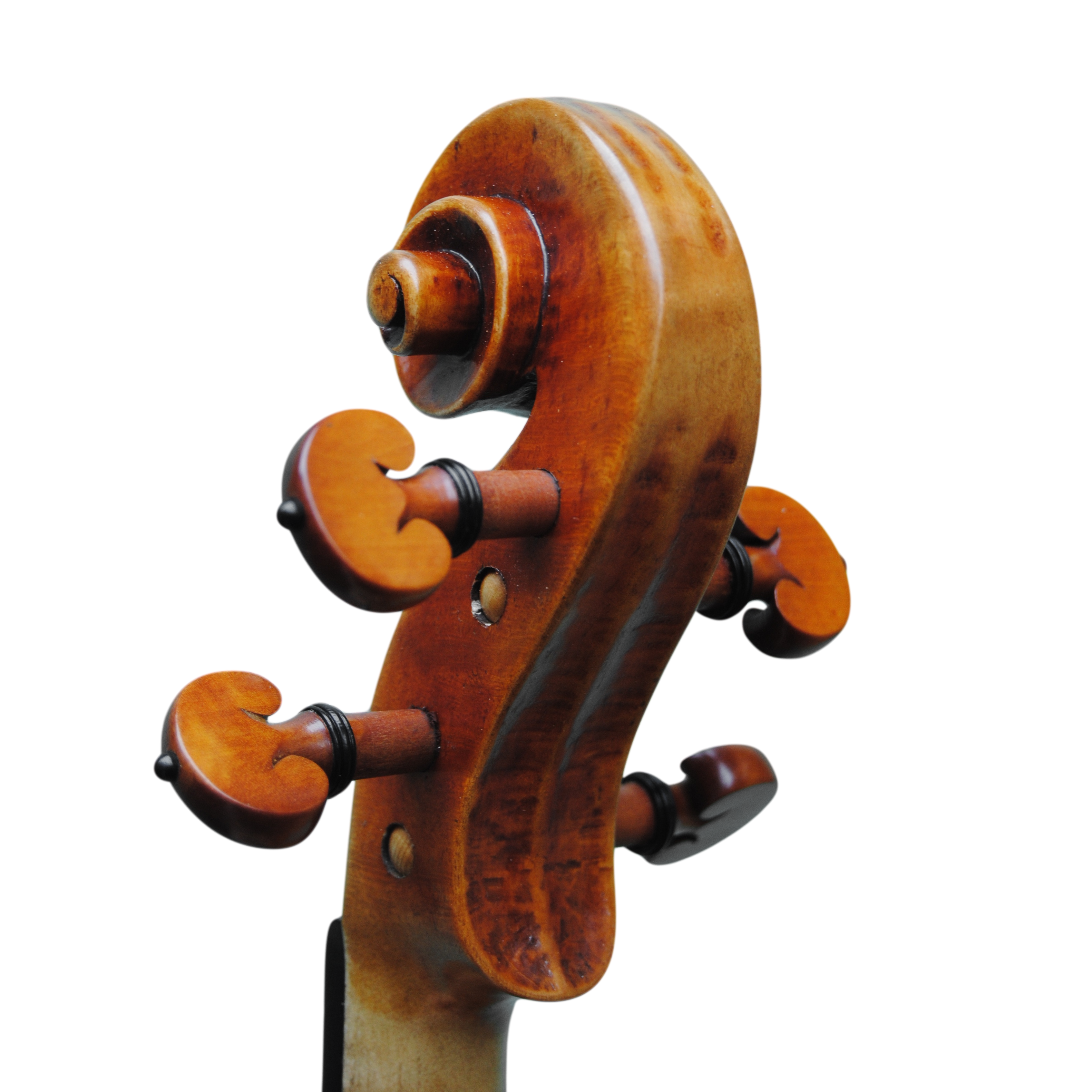 Violin - Mina Mazzolari, Copy of Guarneri del Gesú "Heifetz"