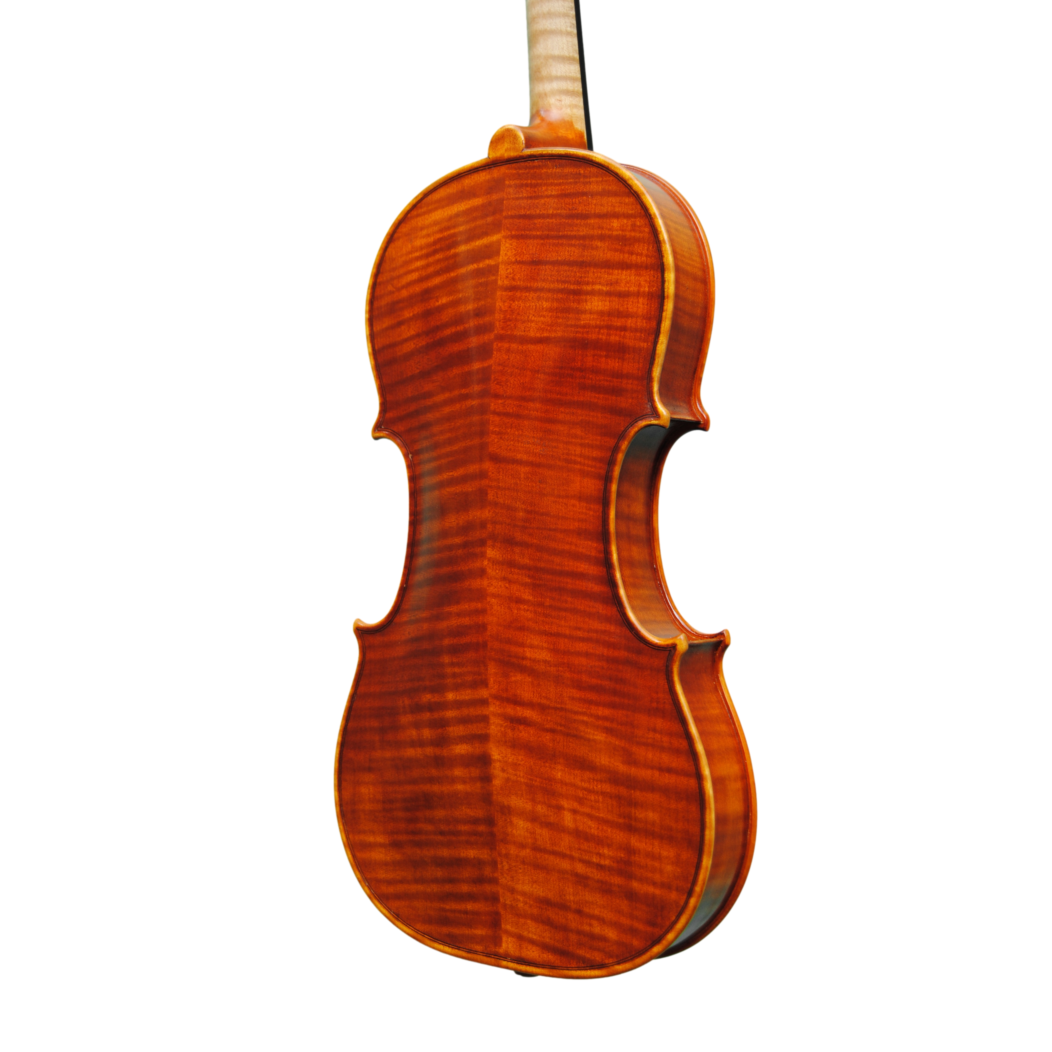 Violin - Linea Macchi, Guarneri "Lord Wilton"