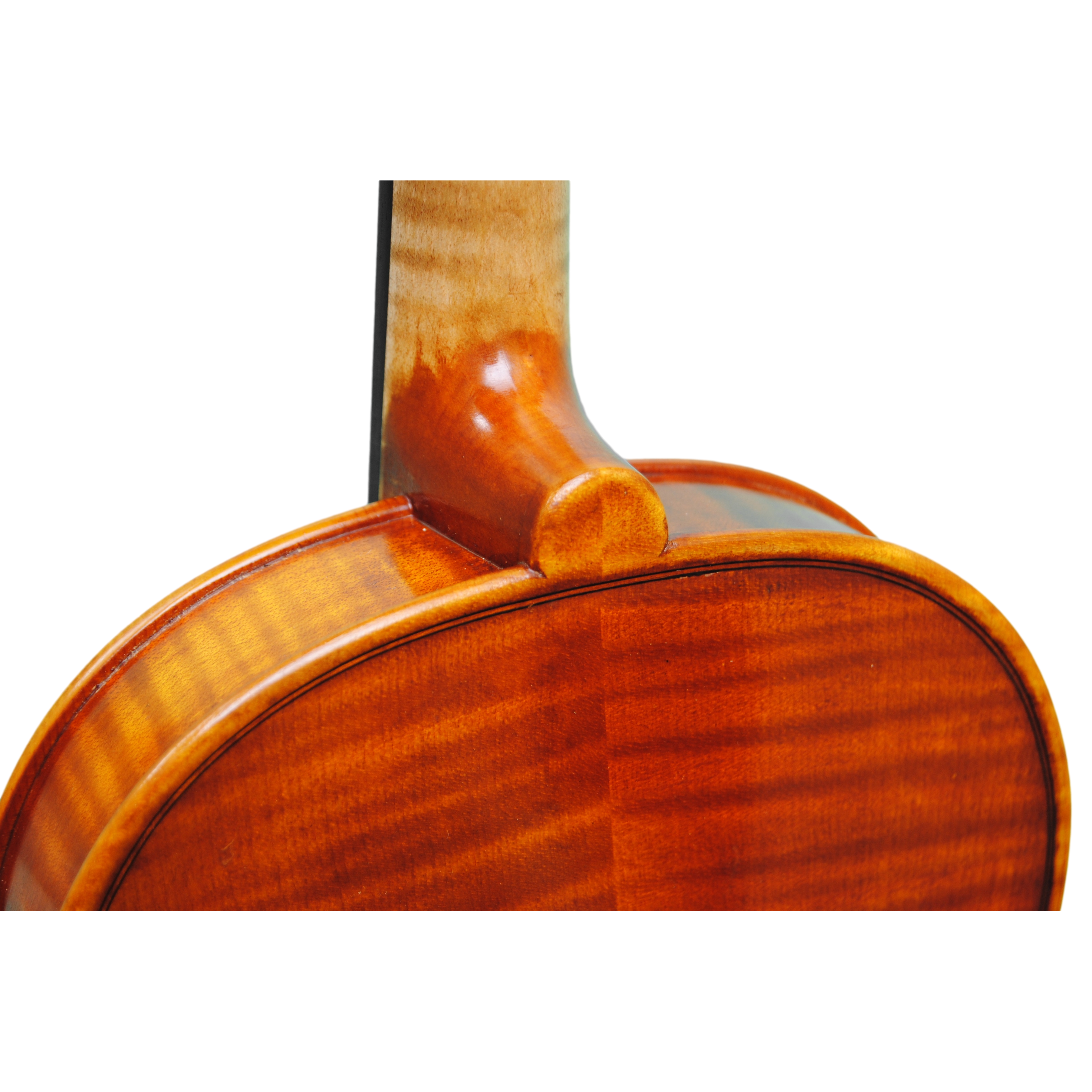 Violin - Linea Macchi, Guarneri "Lord Wilton"