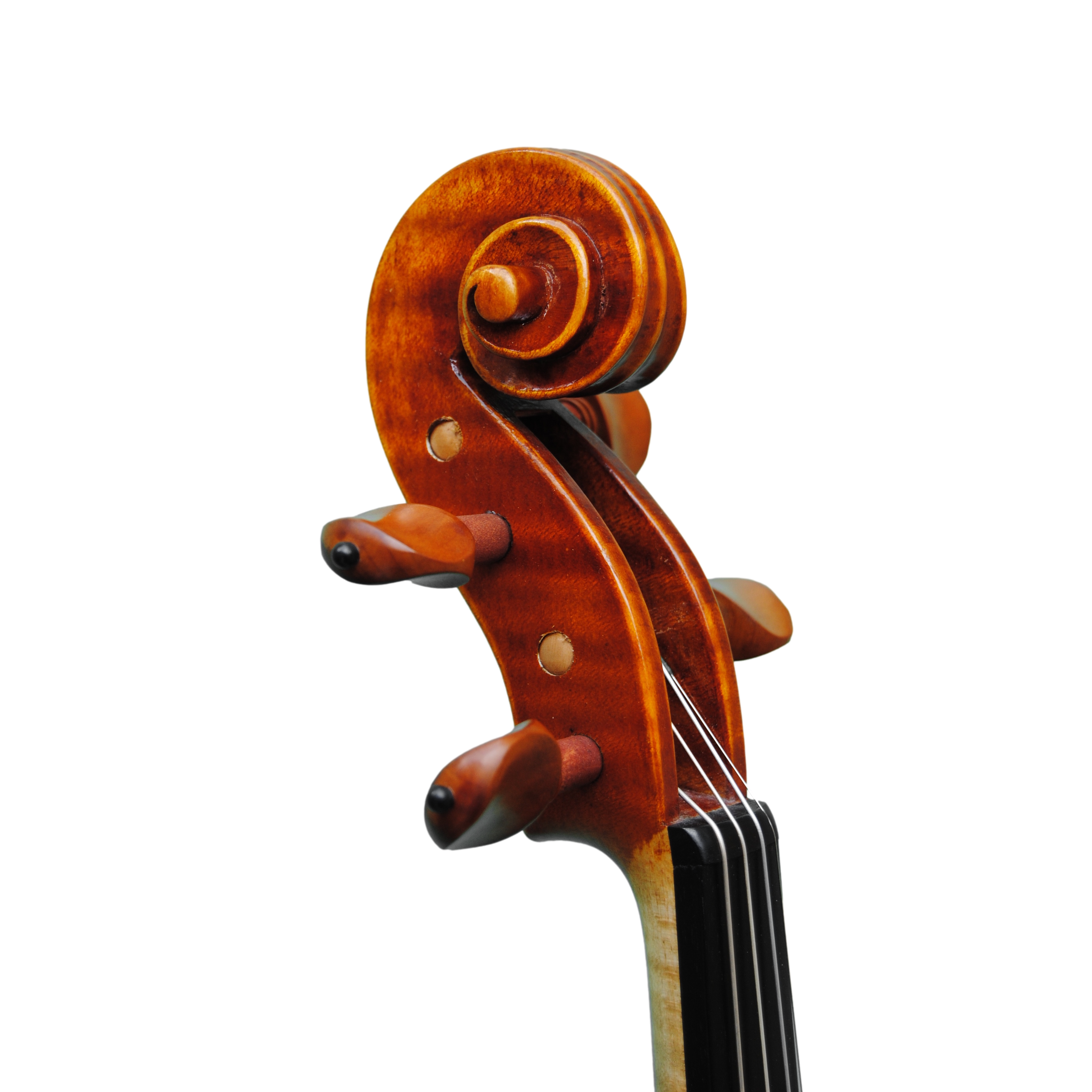 Violin - Linea Macchi, Guarneri "Lord Wilton"