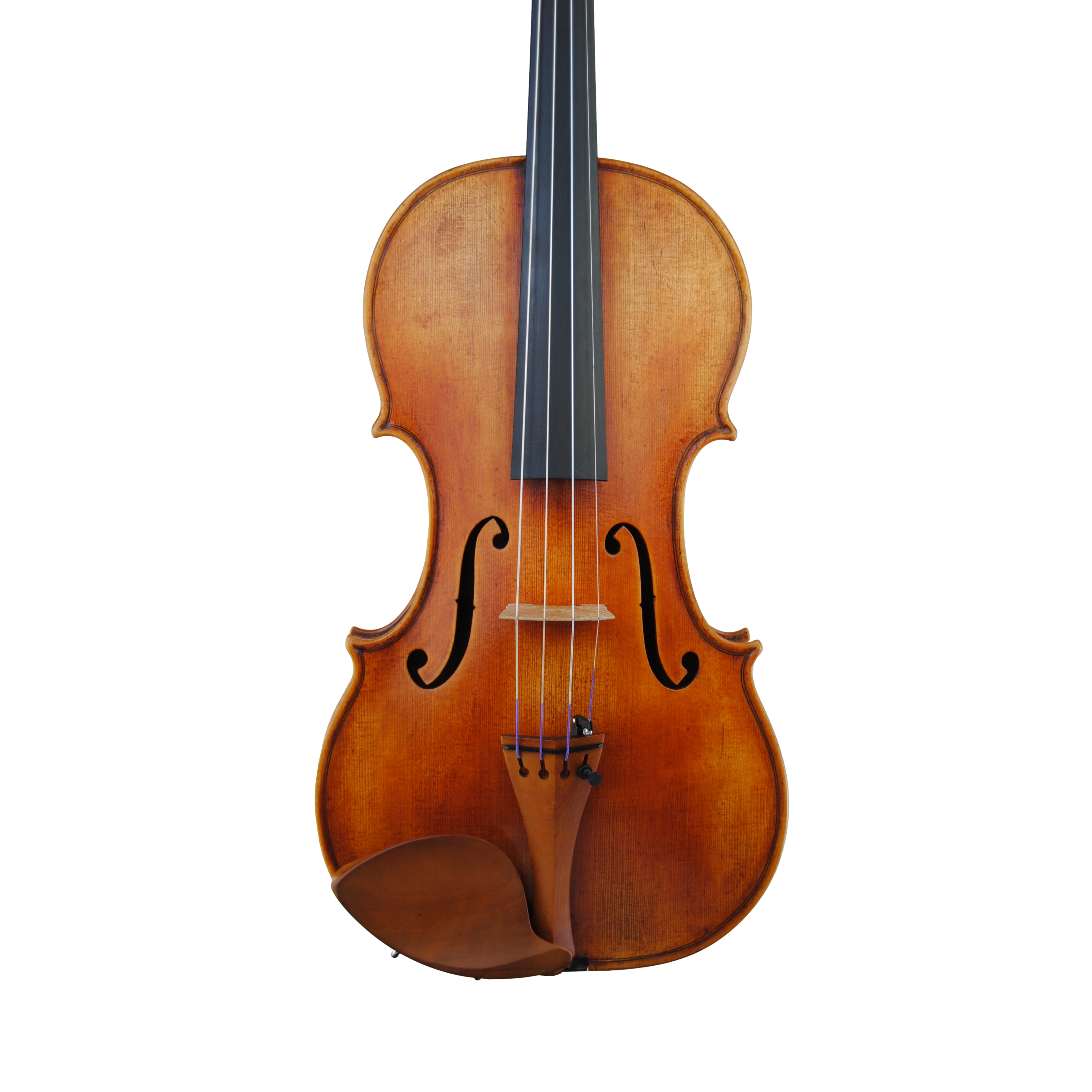 https://s1.pixriot.com/458919eb5d/Violin/vo dotti low body/vo dotti low body.xml?t=1662971437