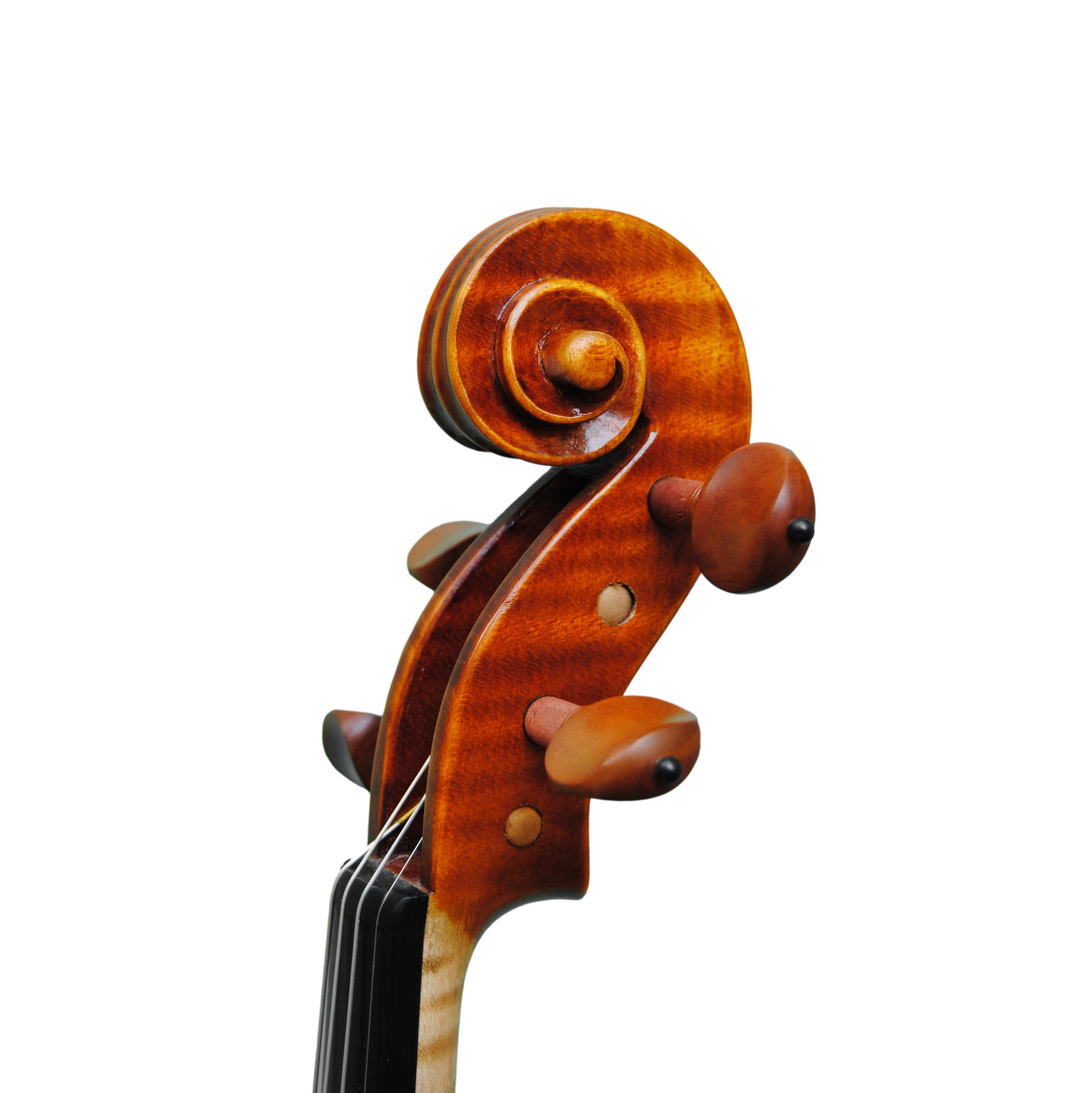 Violin - Linea Macchi, Guarneri "Lord Wilton"