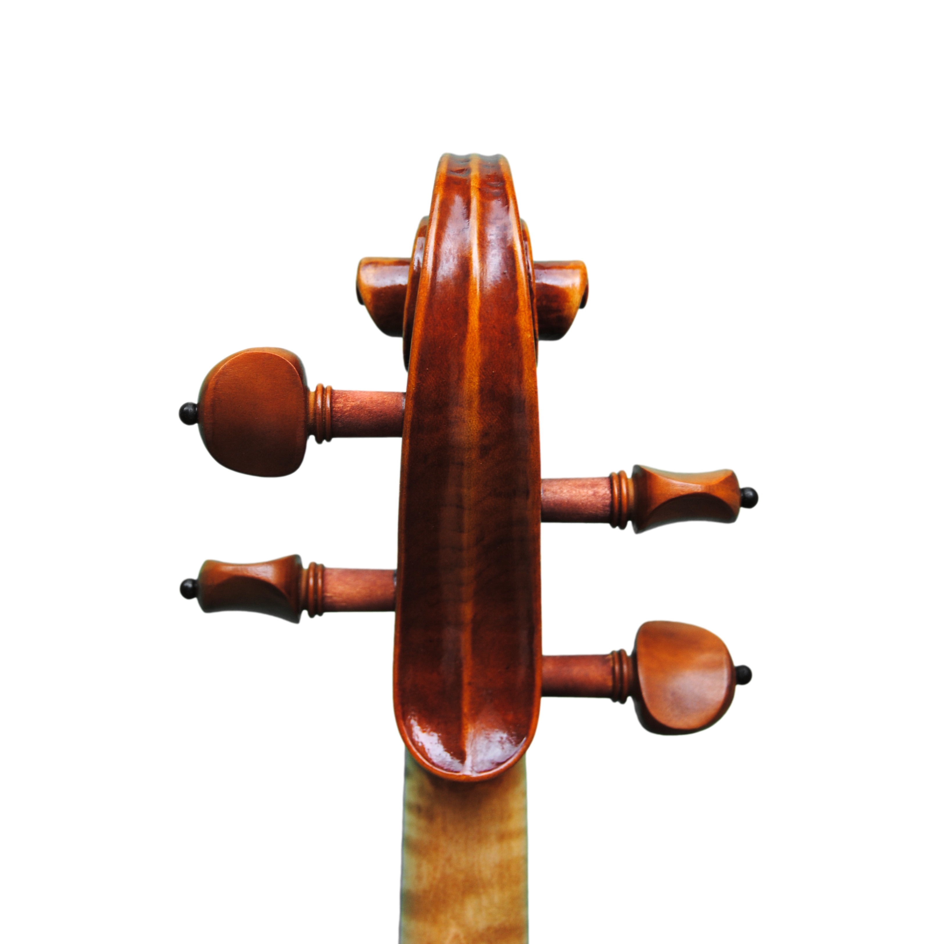 Violin - Linea Macchi, Guarneri "Lord Wilton"