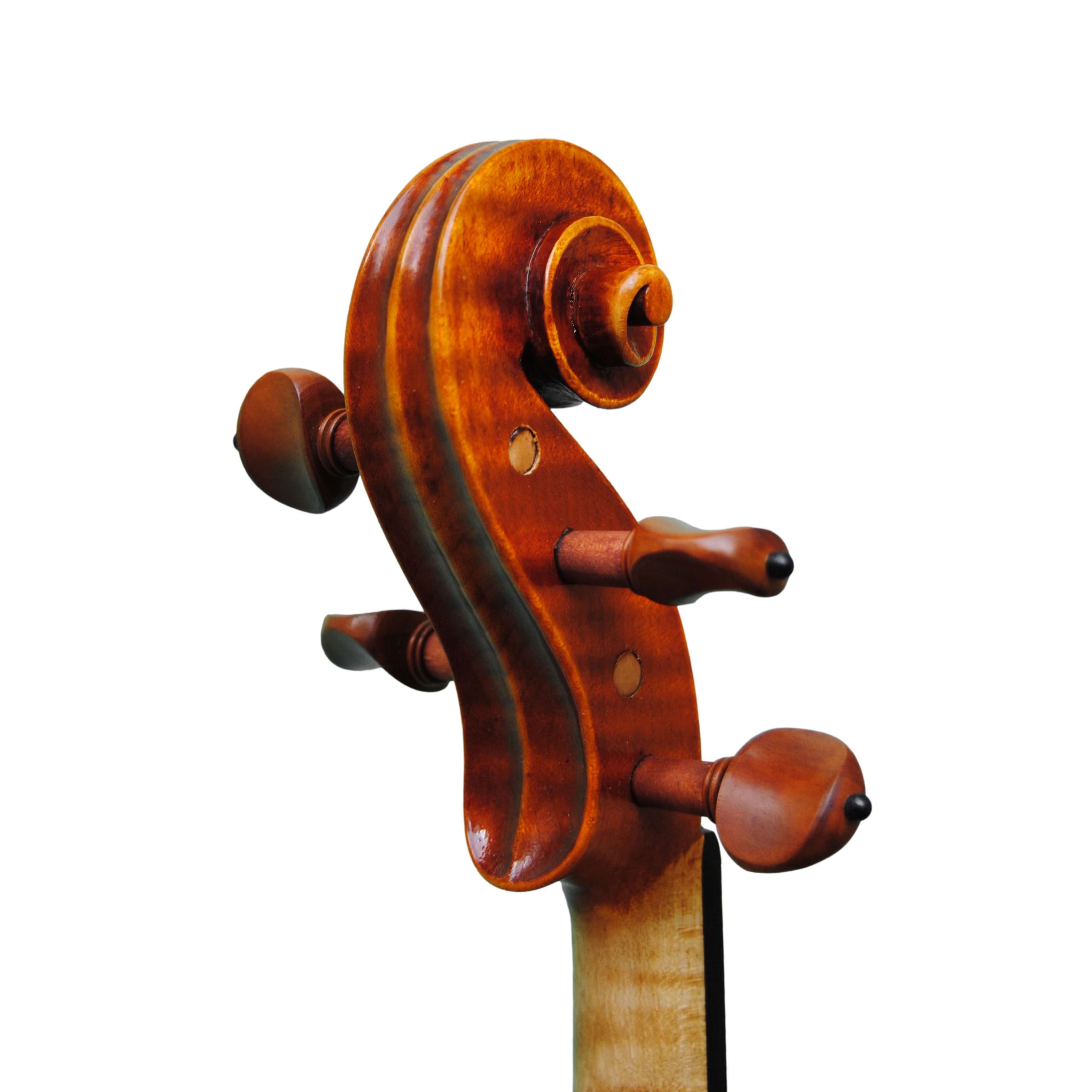 Violin - Linea Macchi, Guarneri "Lord Wilton"