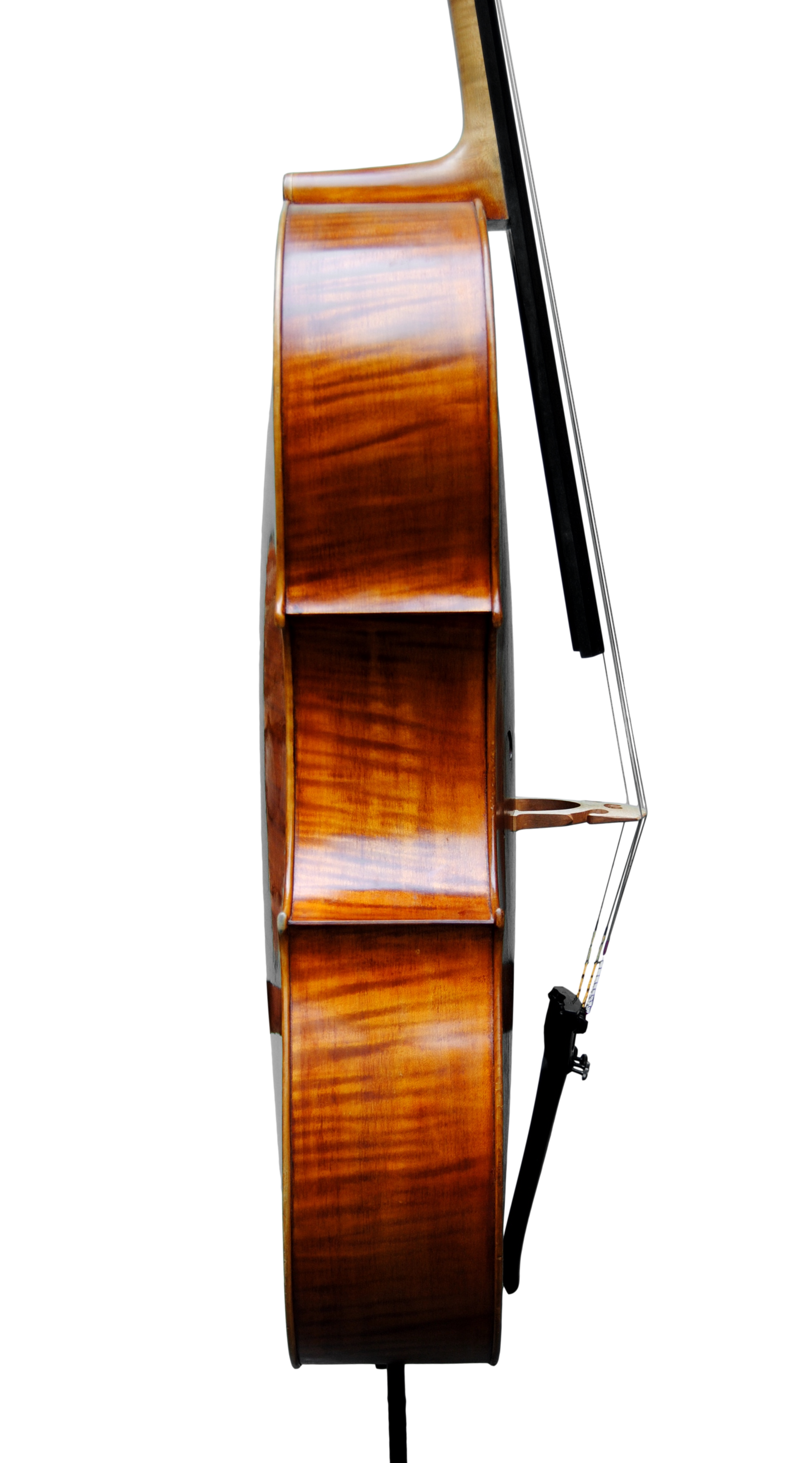 Cello - Edgar Russ, A.Stradivari "Mara", Cremona 2002