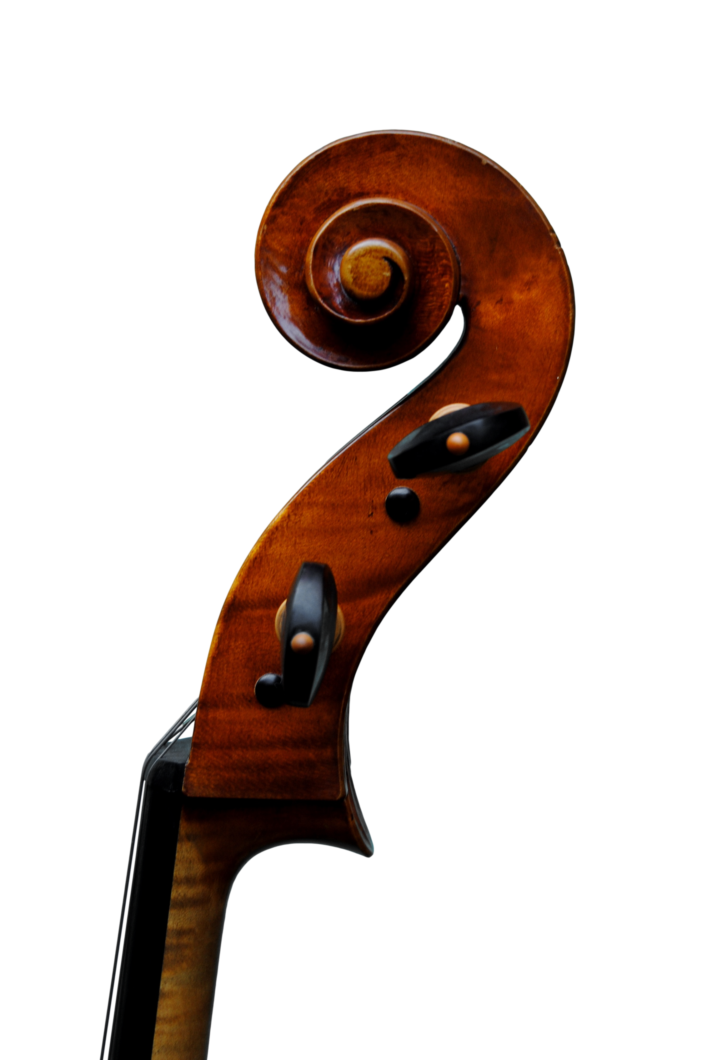 Cello - Edgar Russ, A.Stradivari "Mara", Cremona 2002