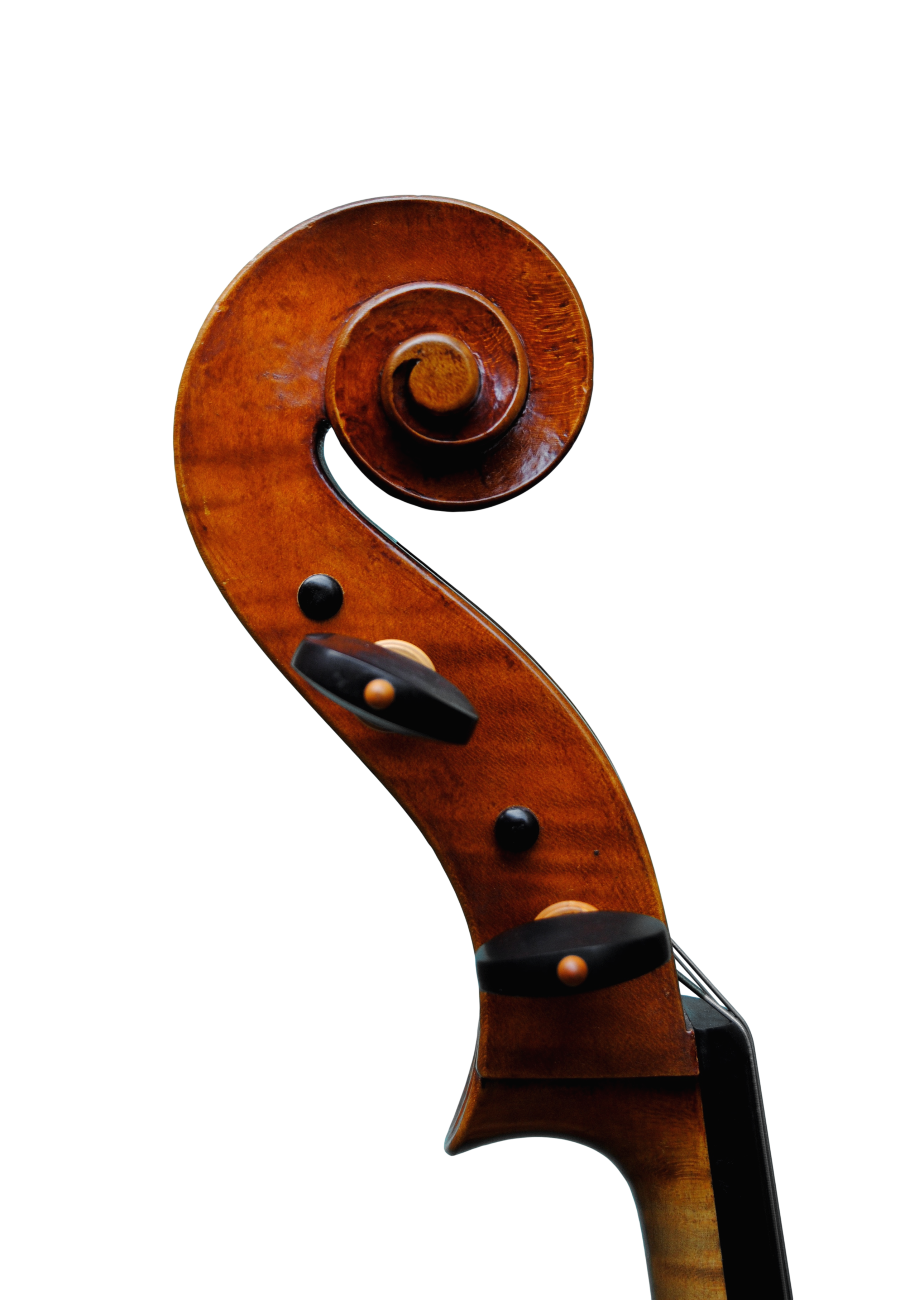 Cello - Edgar Russ, A.Stradivari "Mara", Cremona 2002