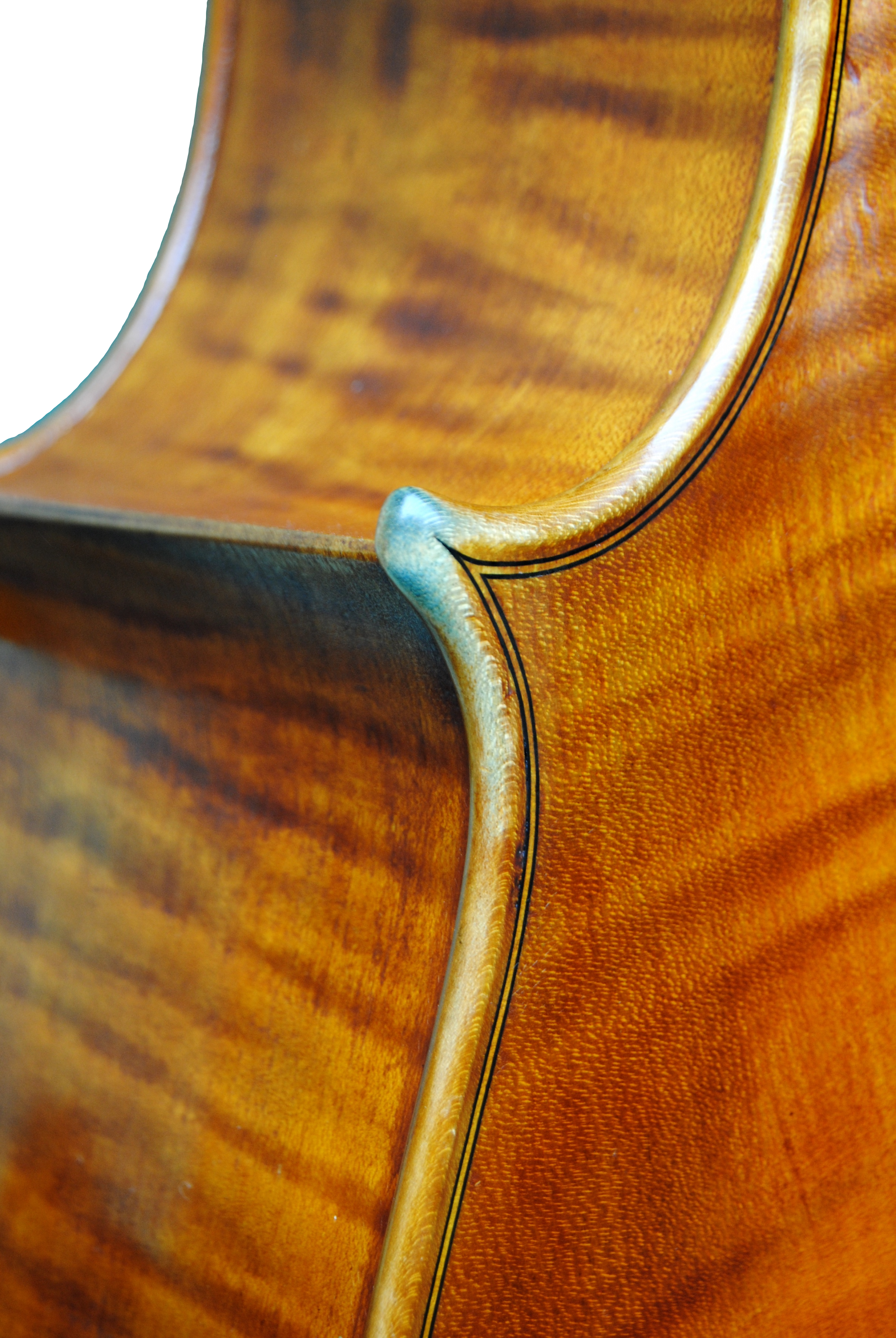 Cello - Edgar Russ, A.Stradivari "Mara", Cremona 2002