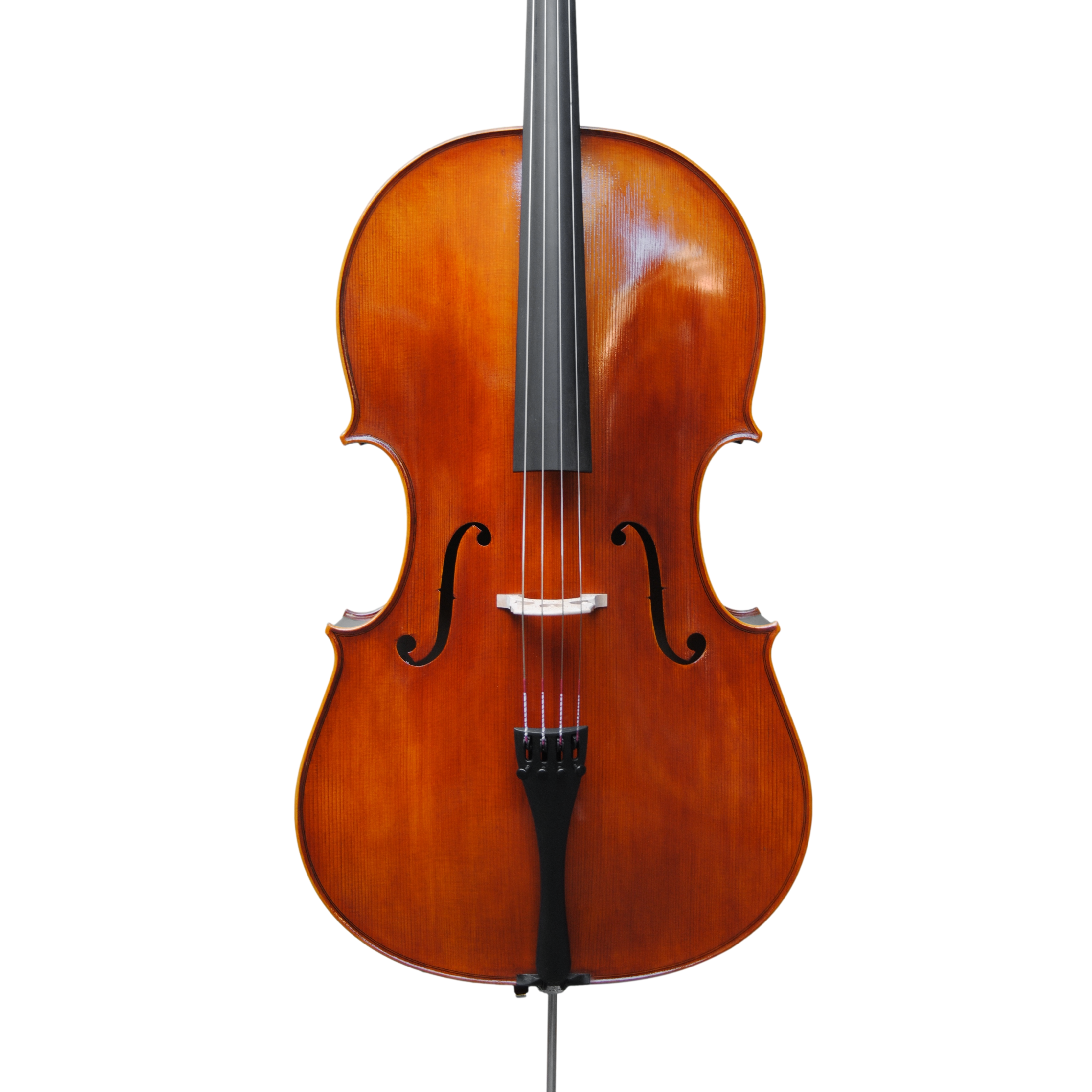 Cello - Scala Perfetta, Montagnana