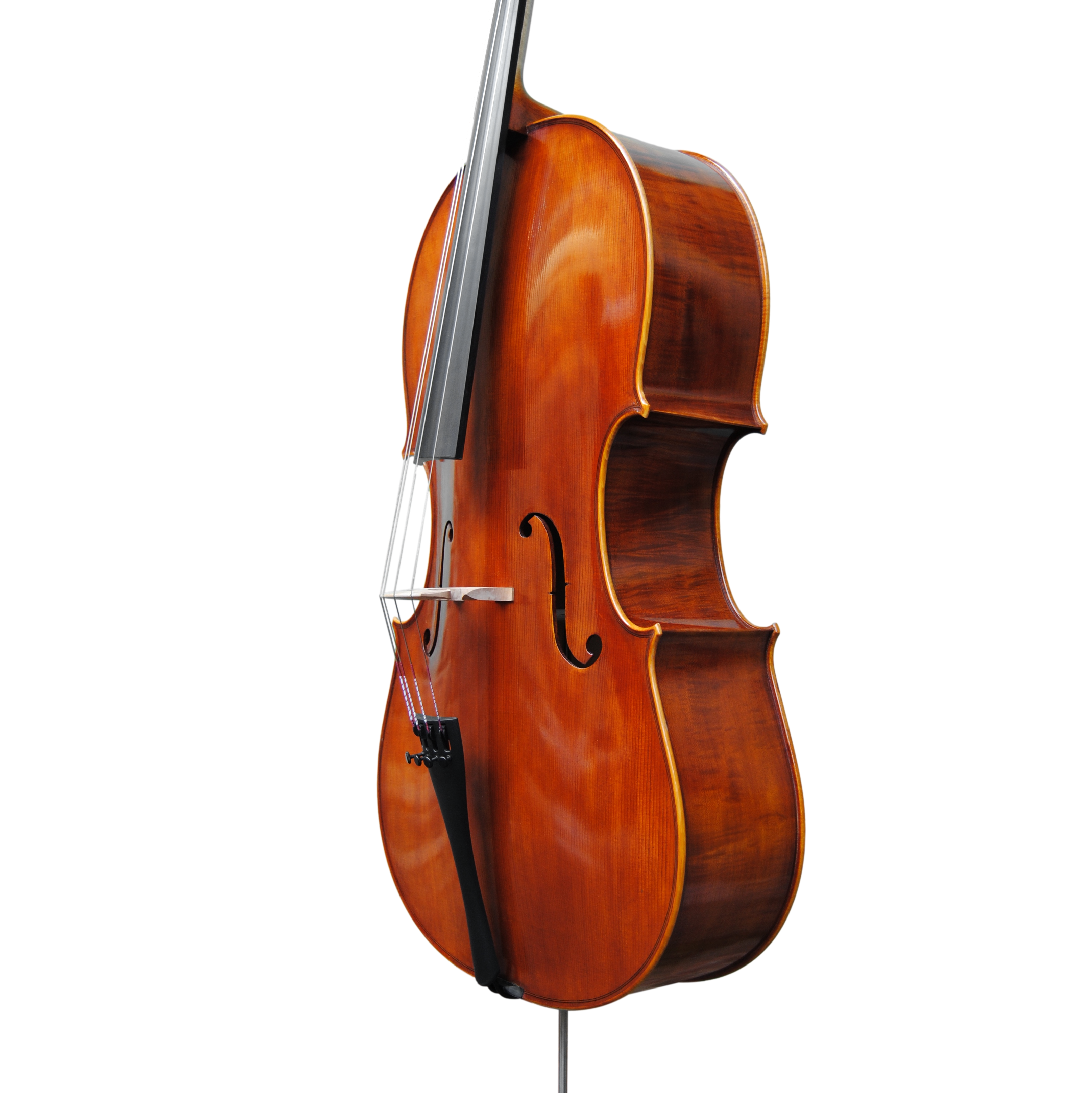 Cello - Scala Perfetta, Montagnana