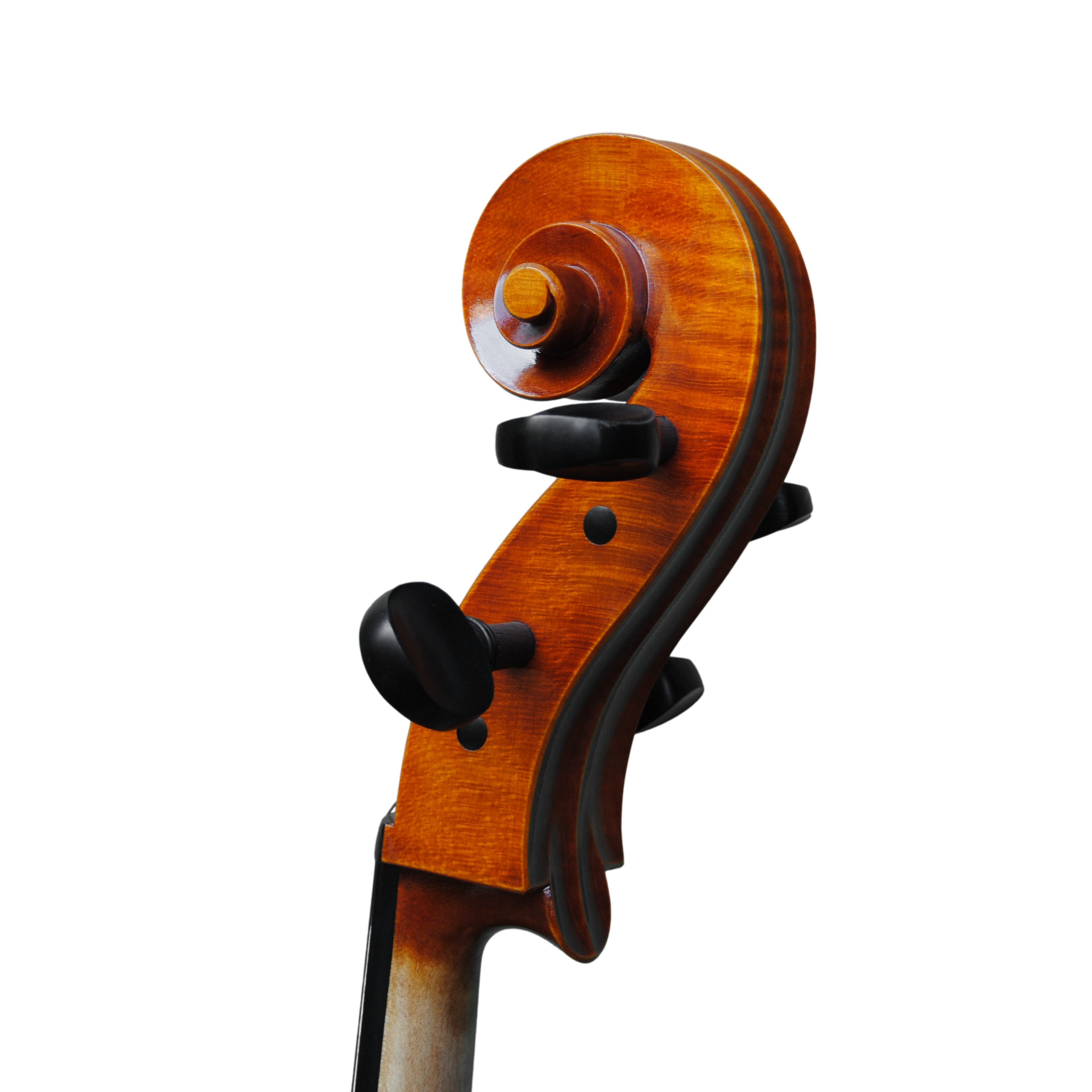 Cello - Scala Perfetta, Montagnana