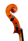 Cello  7/8  - Edgar Russ, Francesco Ruggeri, Cremona 2020