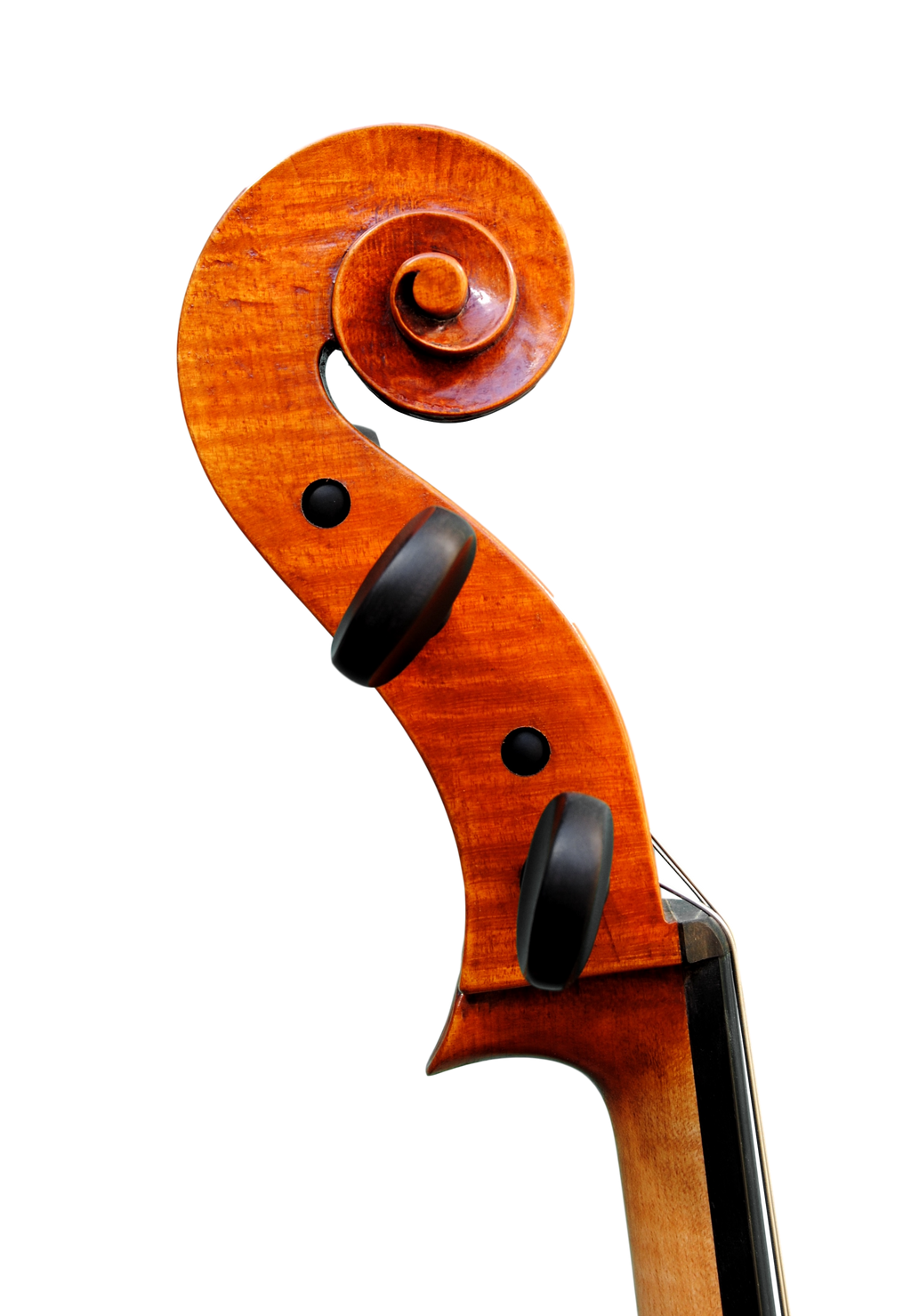 Cello  7/8  - Edgar Russ, Francesco Ruggeri, Cremona 2020